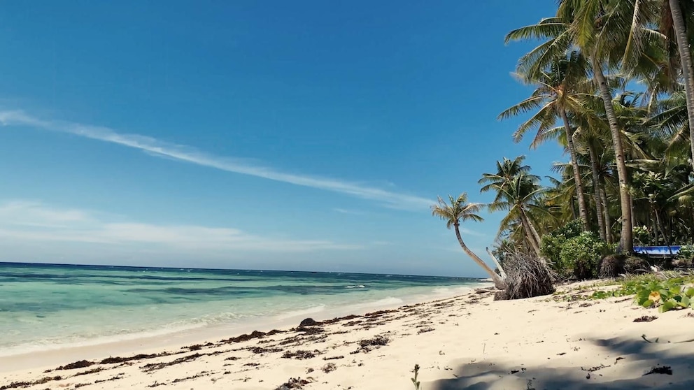 WATCH: Expert: It's not too late to book summer travel in August