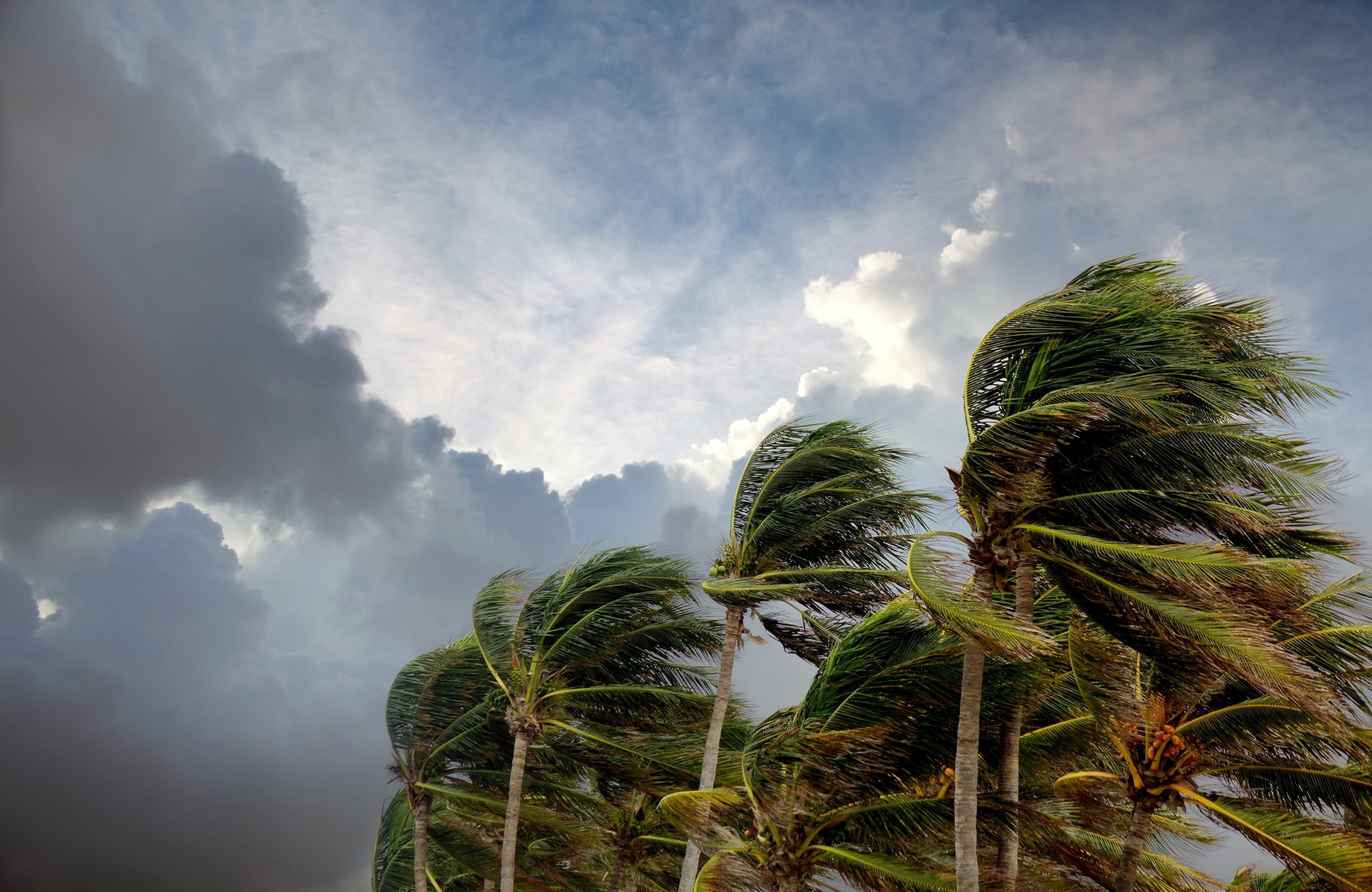 PHOTO: A tropical depression that formed in the Gulf off the west coast of Florida, July 19, 2026, is expected to become Tropical Storm Bertha.