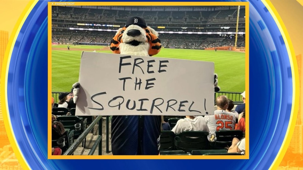 WATCH: Squirrel runs onto field during MLB game