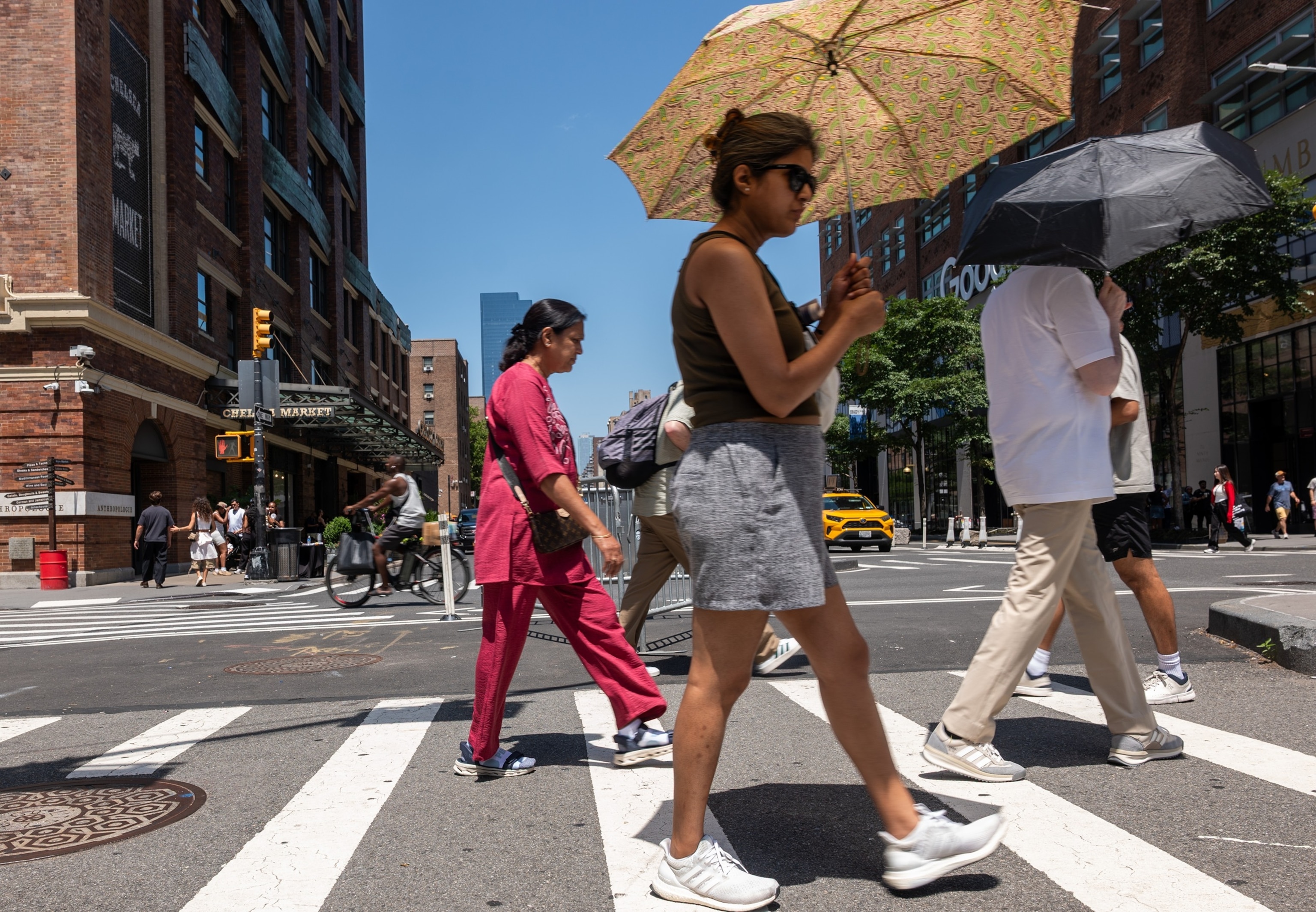 Image from article: Global temperatures hit record highs as El Niño strengthens: Report Image from article: Global temperatures hit record highs as El Niño strengthens: Report