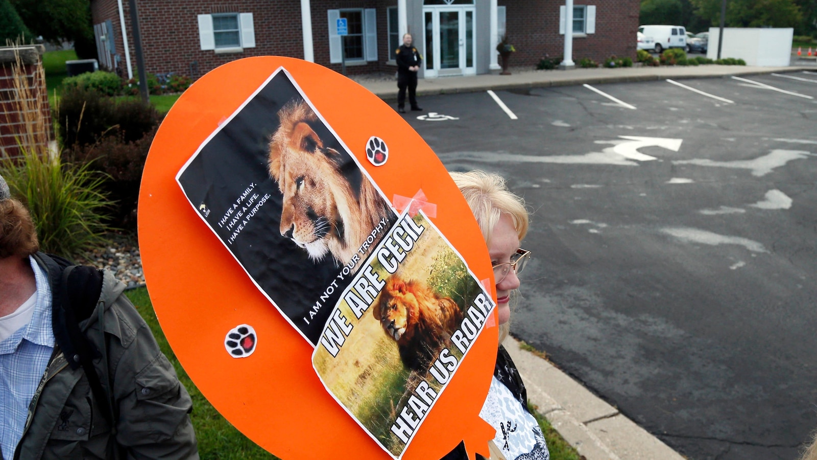 Heartbreak for Wildlife: Another Collared Lion Falls to Trophy Hunting!