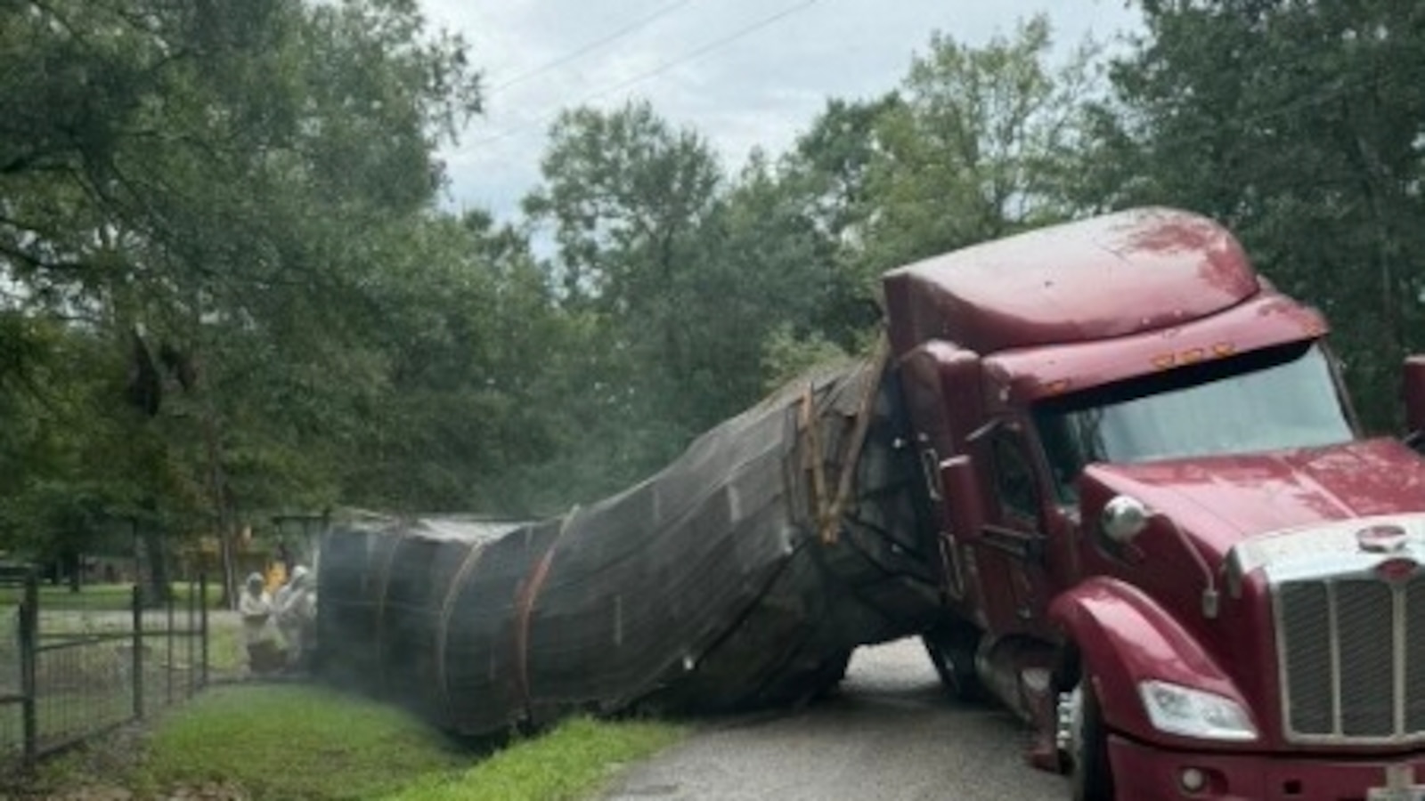 Millions of honeybees escape into a Texas neighborhood after a semitrailer crash Millions of honeybees escape into a Texas neighborhood after a semitrailer crash