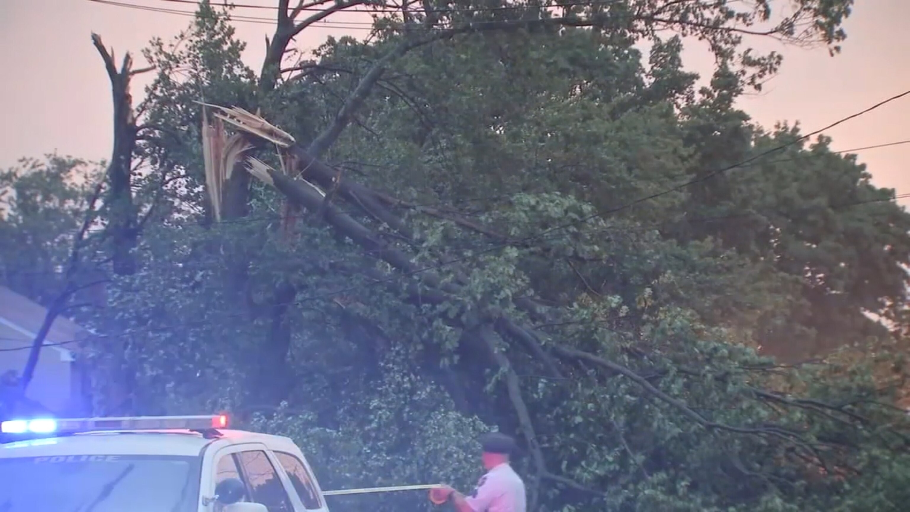 PHOTO: A fallen tree is seen leaning on power lines following a storm, Aug. 7, 2023, in Roxborough, Pa.