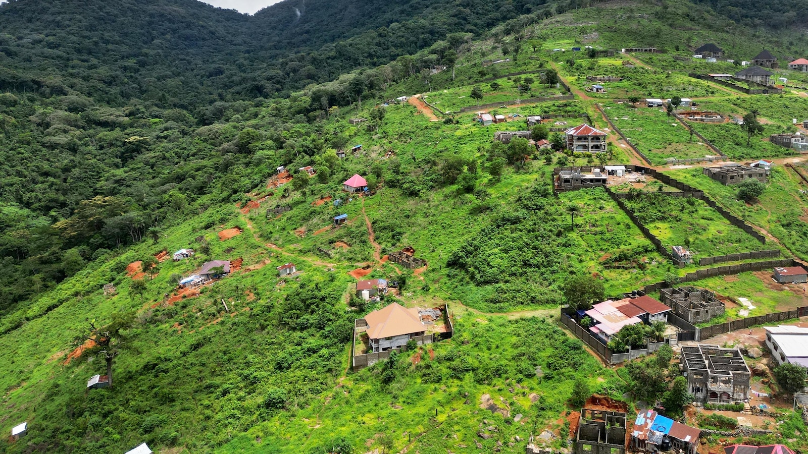 Служители на Сиера Леоне улесниха незаконното строителство на имения в ключов национален парк