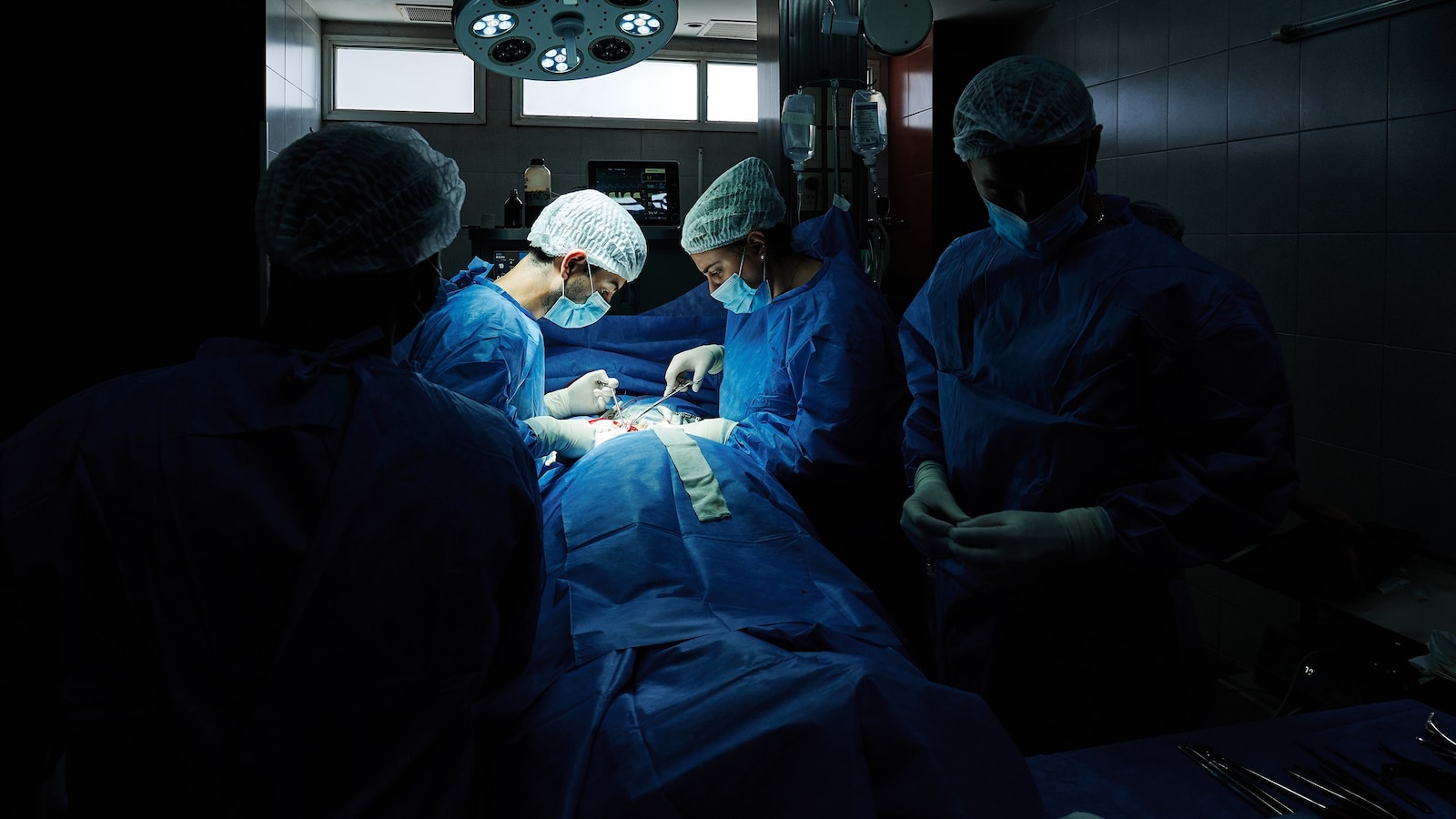 ‘Huge step forward’: Scientists discover immune reaction behind pig kidney rejection in transplant patients