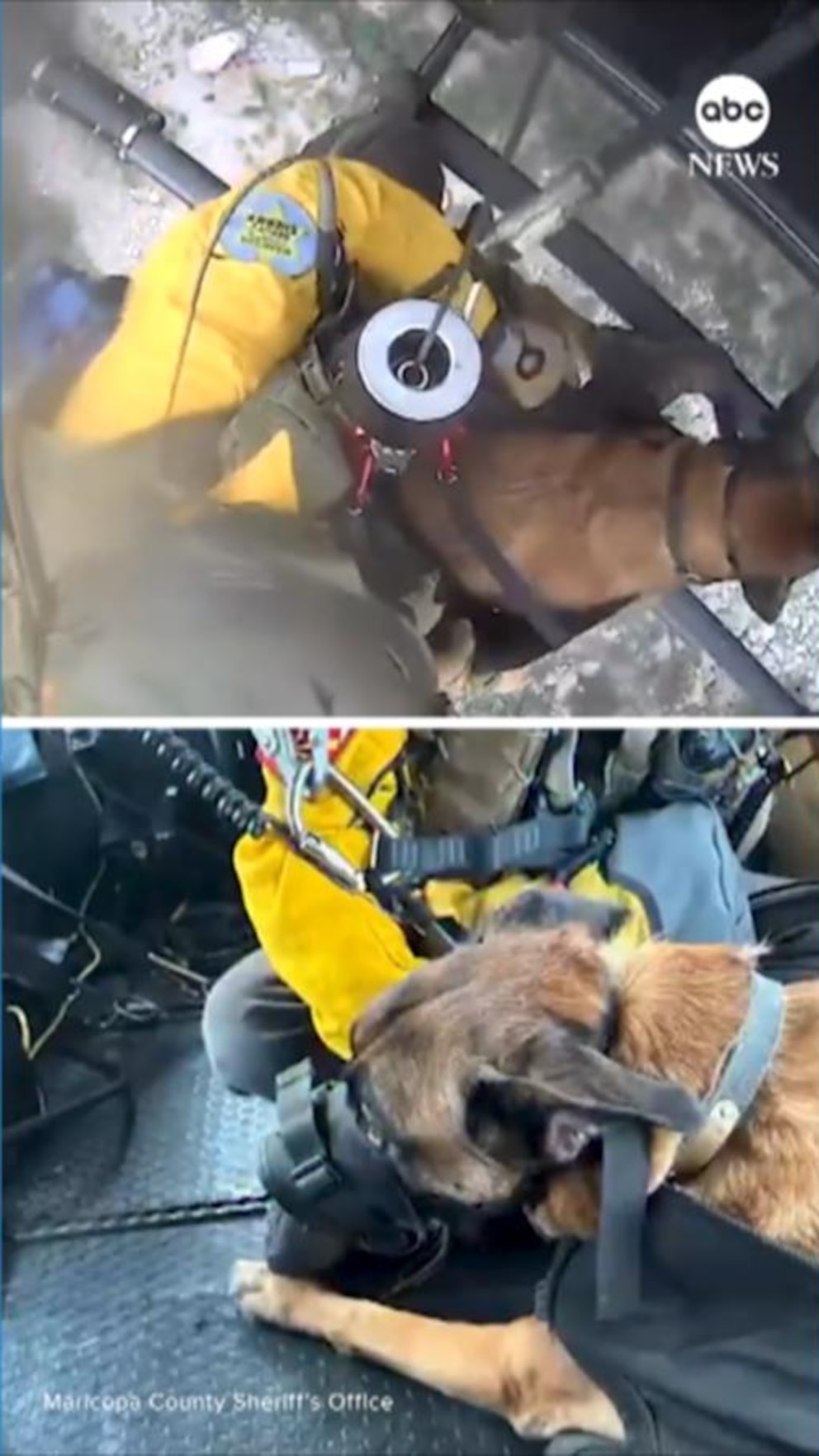 NextImg:Video ‘Brave pup’ airlifted to safety after getting injured on hike