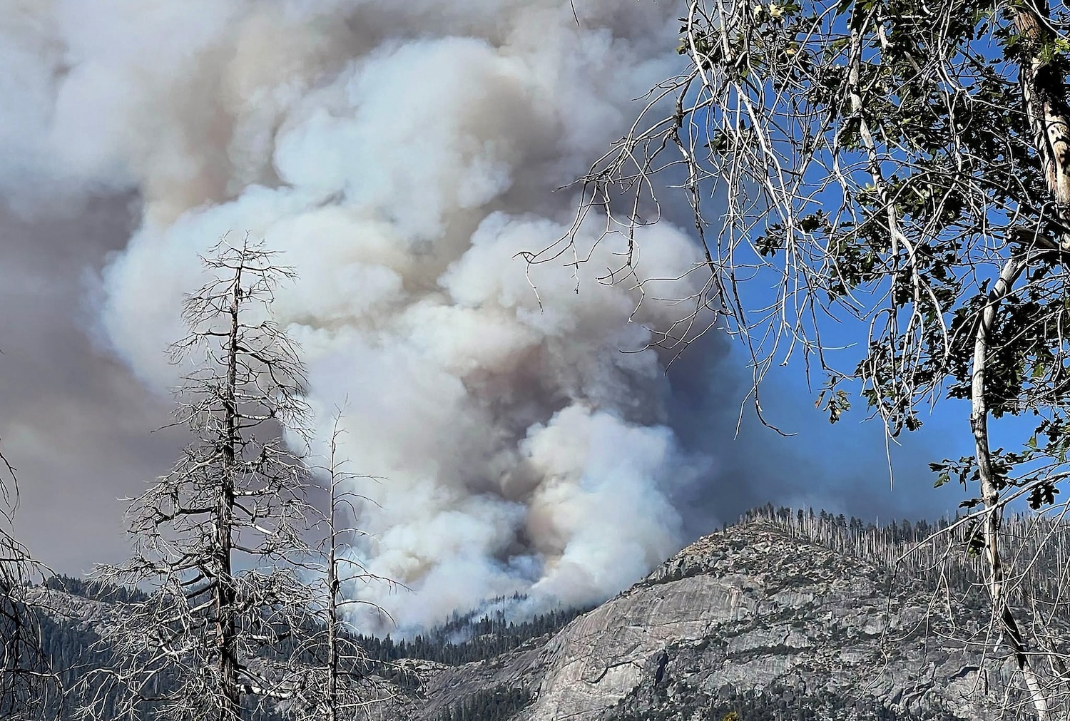 Dome Fire burns thousands of acres