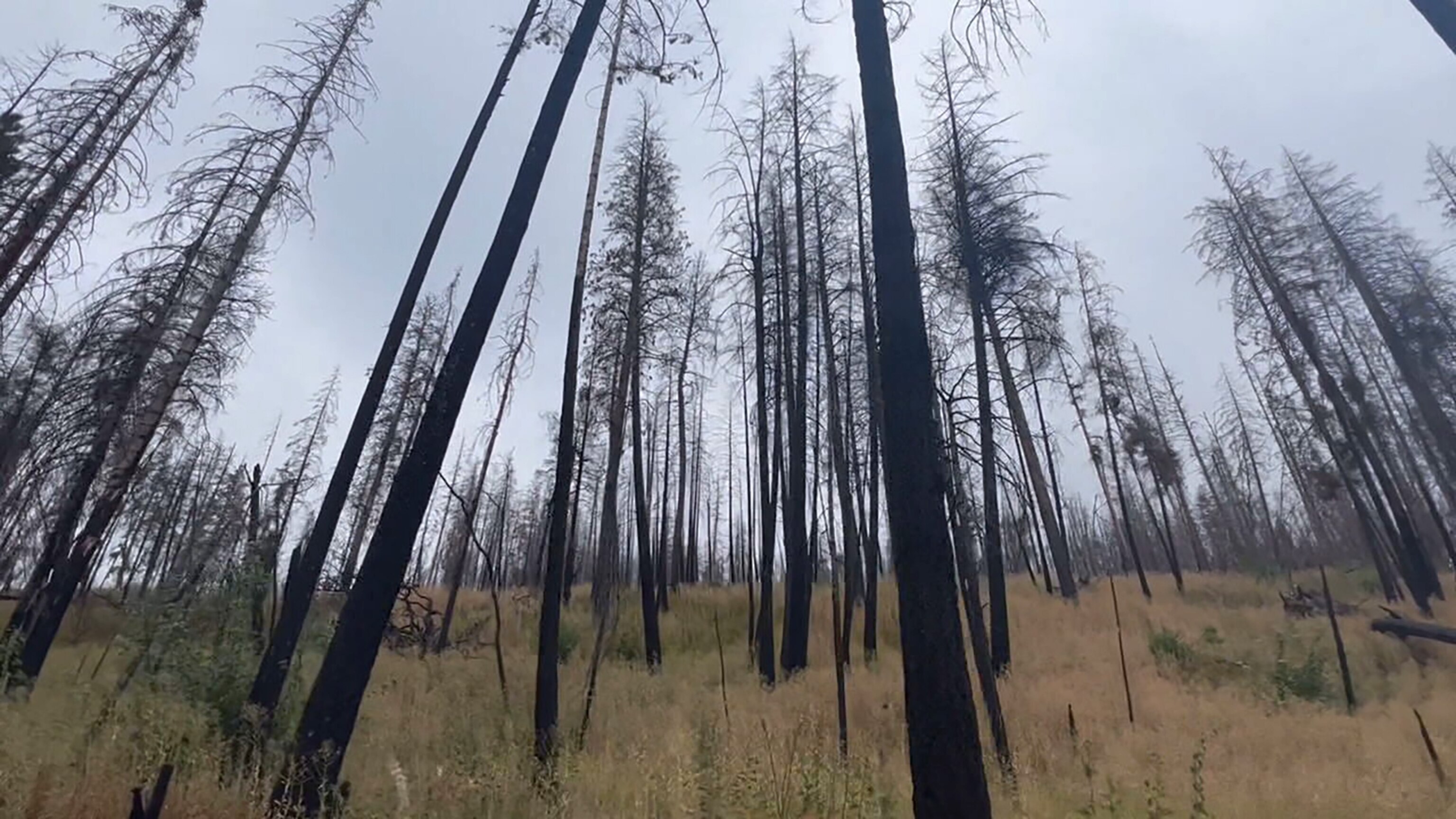 PHOTO: Wildfires across Montana have become more common and more intense in recent years, which scientists attribute to conditions created by global warming from greenhouse gas emissions.