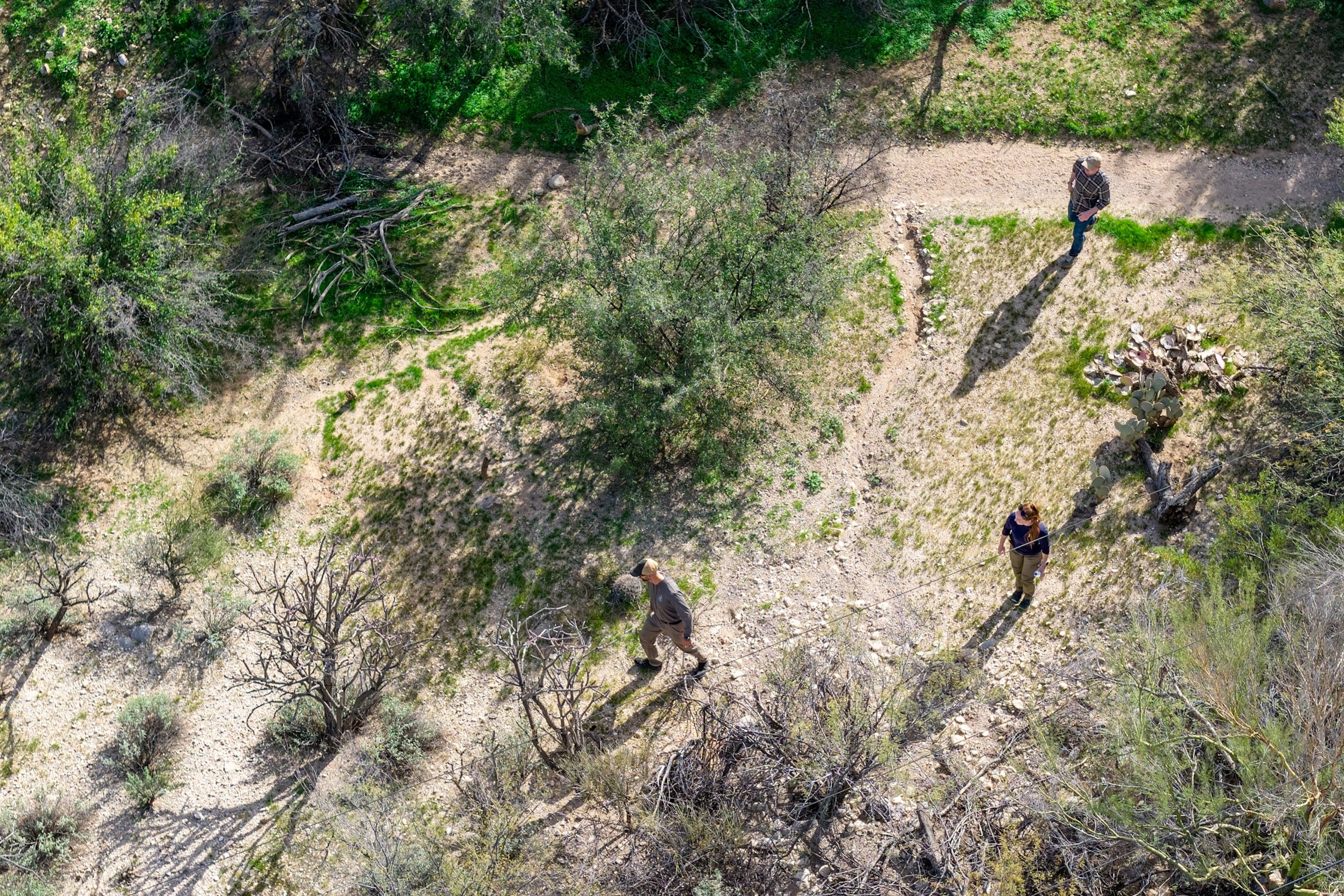 Nancy Guthrie live updates: Law enforcement activity 2 miles from Guthrie’s home