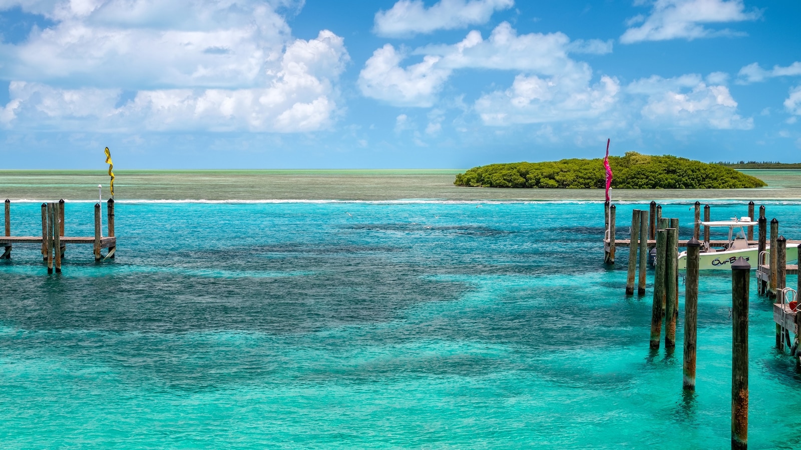 A 37-year-old woman from Austria reportedly suffered injuries after being attacked by a shark while swimming off the coast of an island of the Bahamas, according to police.