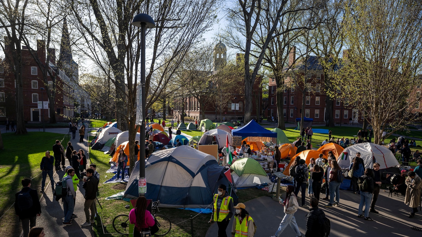 Harvard students end protest as university agrees to discuss Middle East conflict