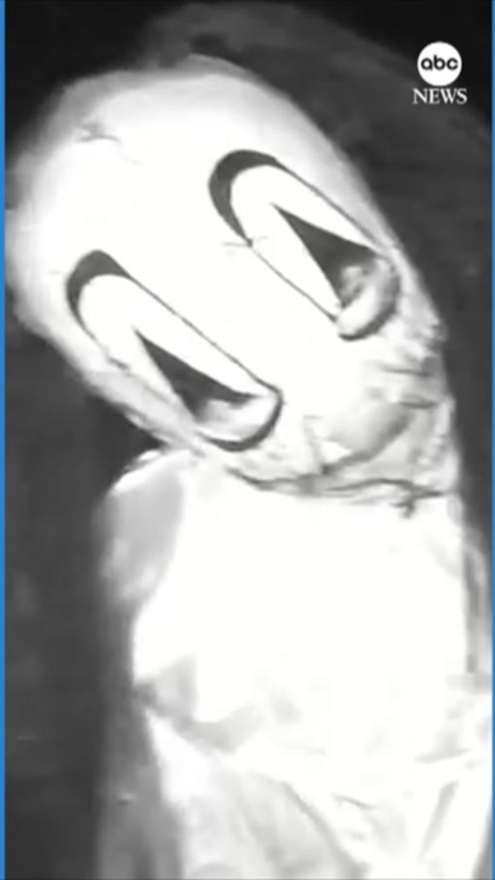 WATCH: Halloween-masked individuals caught on camera before alleged home invasion