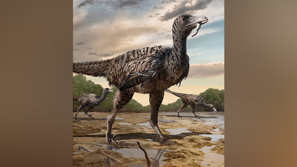 Exploring Megaraptor: A Fascinating Eukaryotic Creature - Diet of Megaraptor