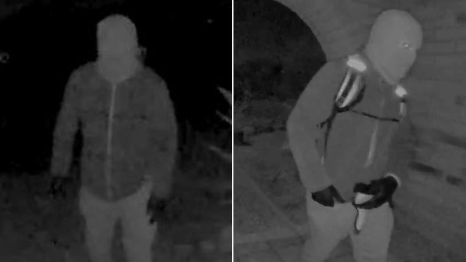 Suspect in Nancy Guthrie abduction appeared to visit her house before: Sources