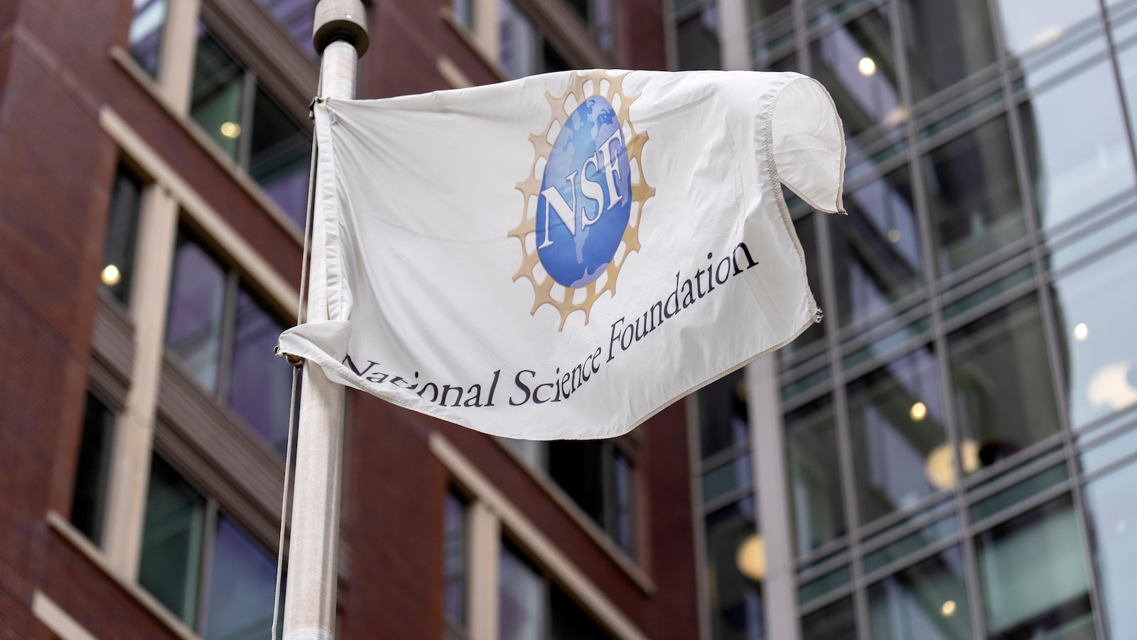 Judge allows the National Science Foundation to withhold hundreds of millions of research dollars Judge allows the National Science Foundation to withhold hundreds of millions of research dollars