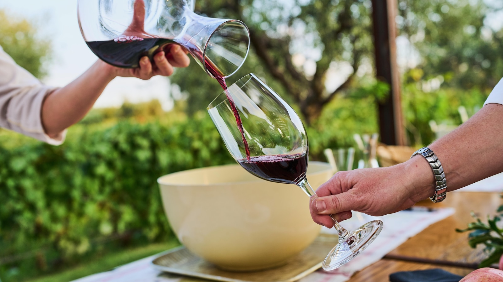  Argentina’s wine industry withers on the vine as consumption hits a record low