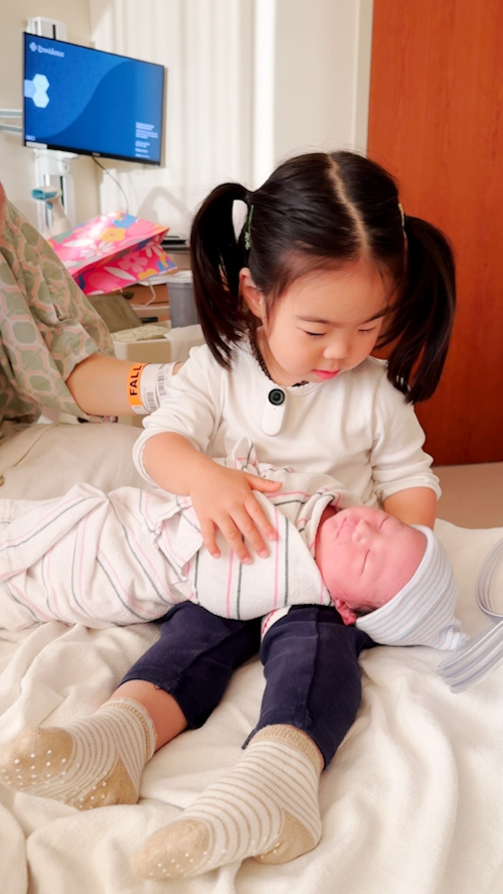 baby's_breath 。＊〇 Sister Jane DREAM Bee Botanical – Sister Jane