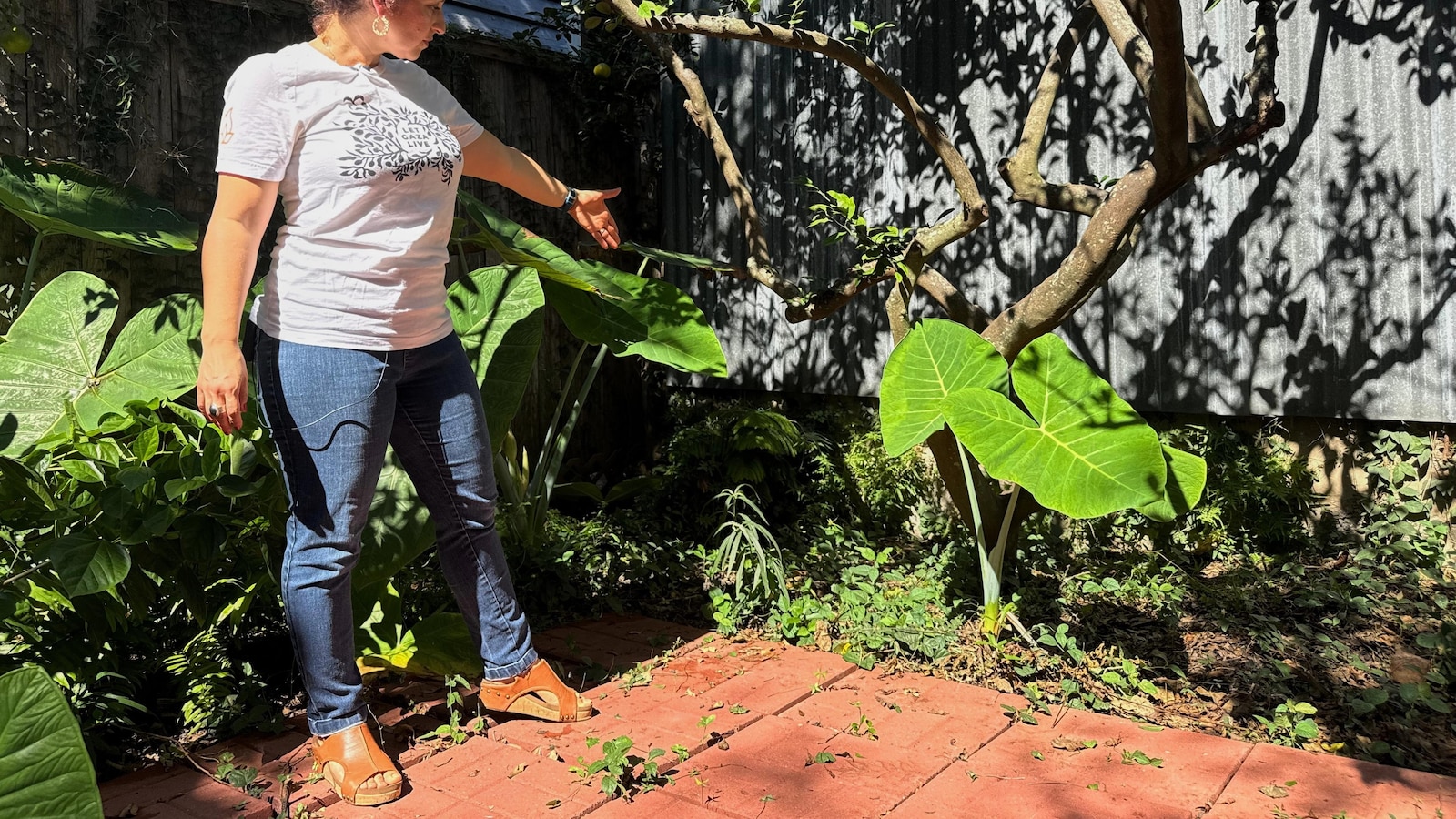 Long-lost ancient Roman artifact reappears in a New Orleans backyard