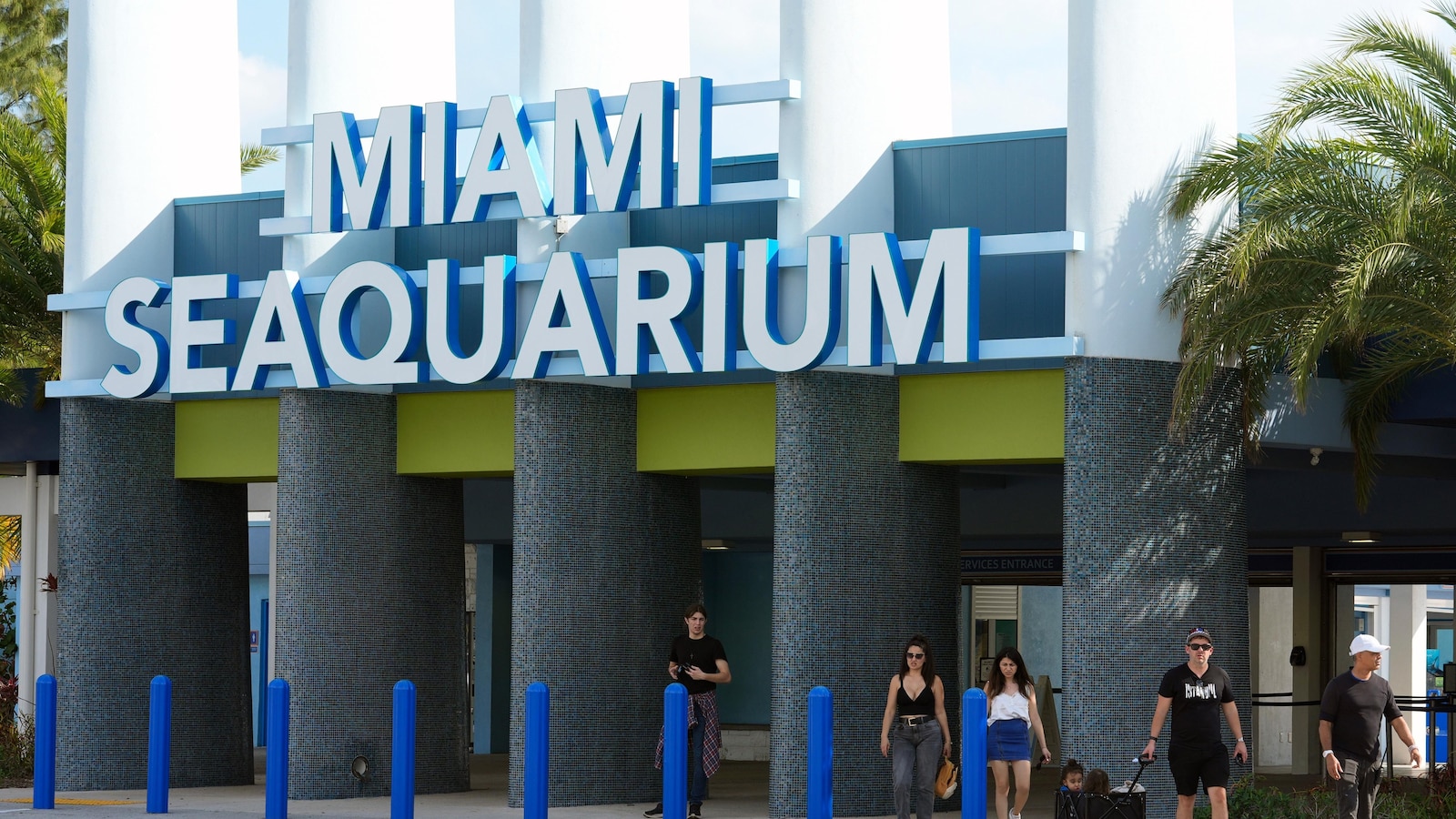 The cherished and controversial Miami Seaquarium closes its doors