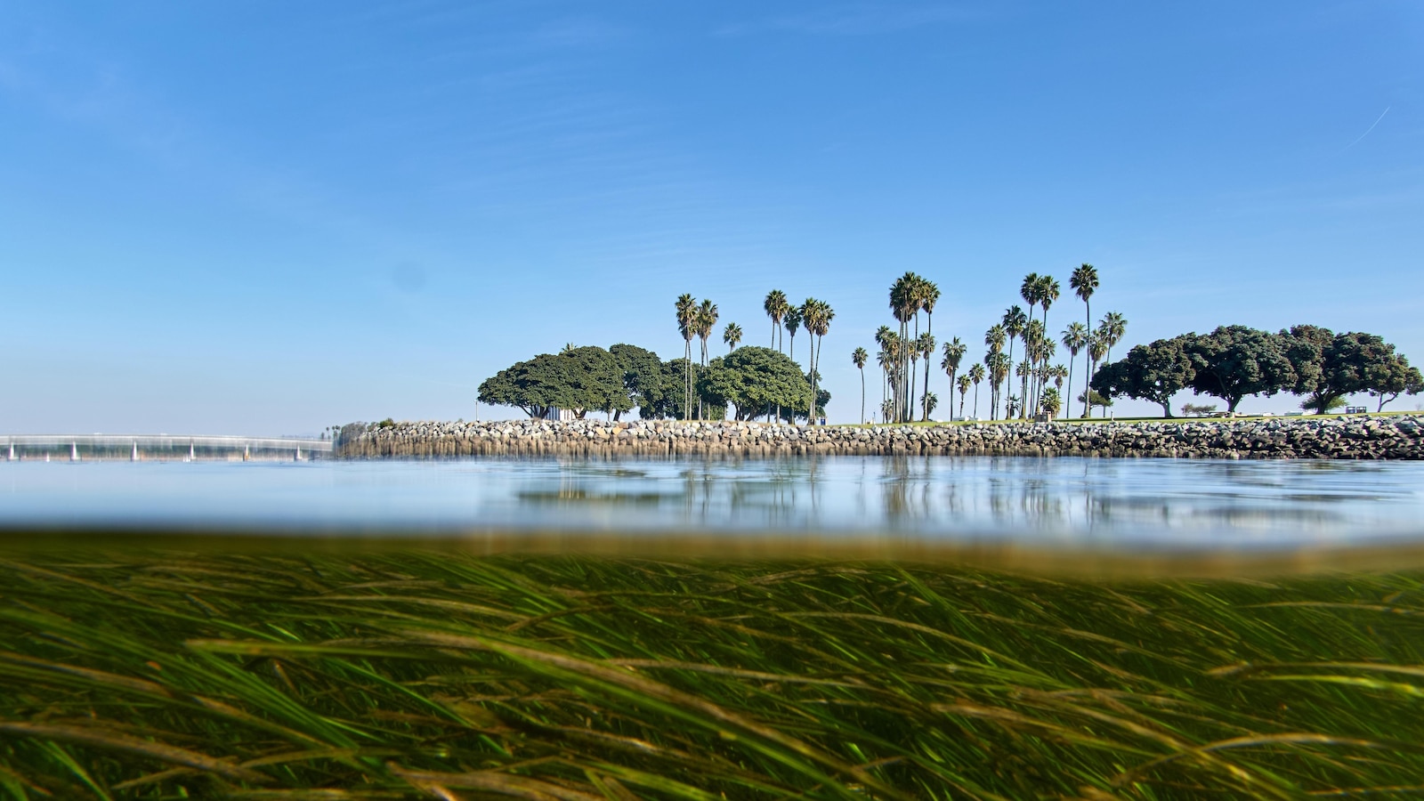  Climate change is outpacing evolution. Scientists are using DNA to catch up