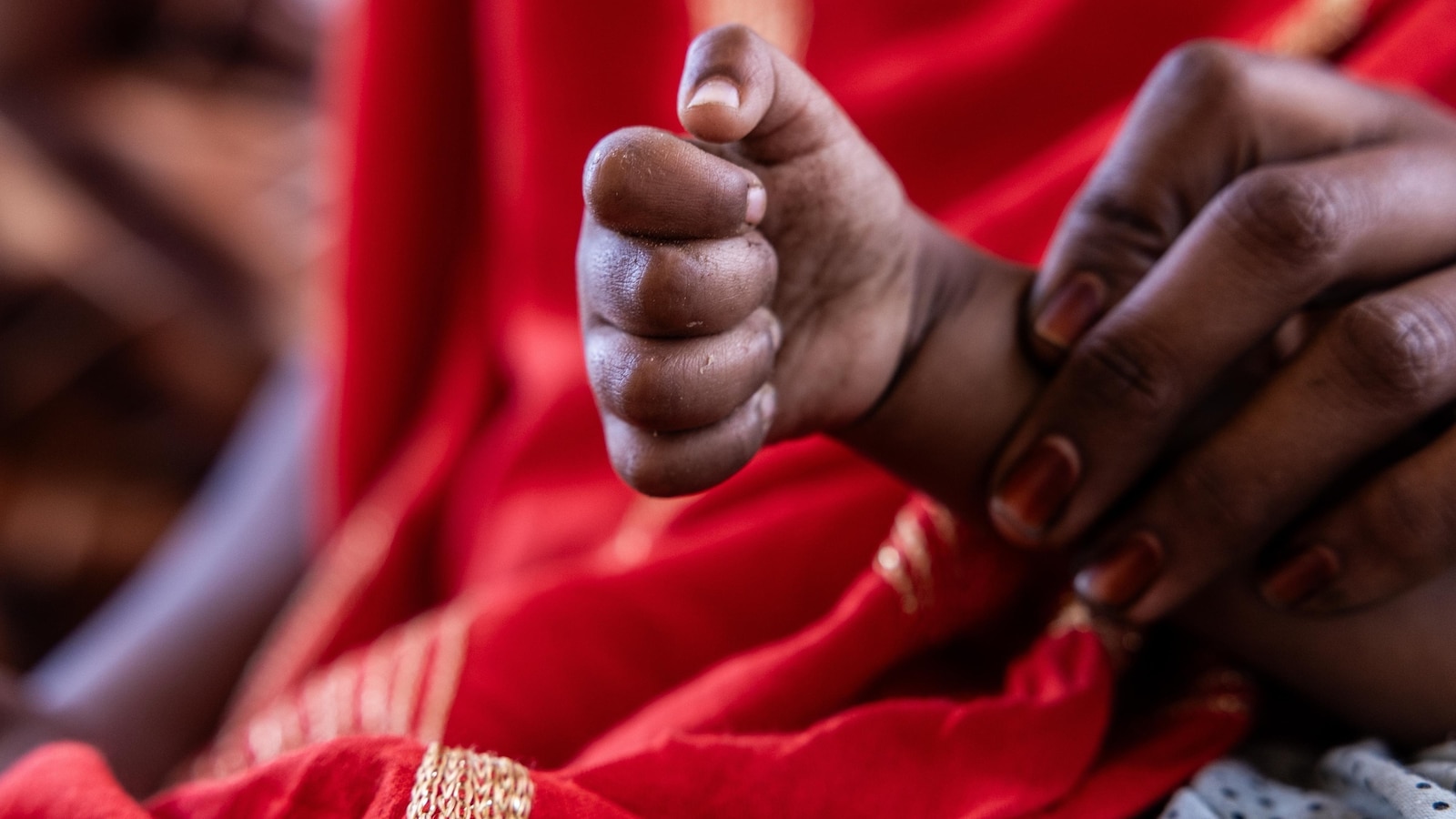 Изводи от разследването на АП относно руския Африкански корпус в Мали