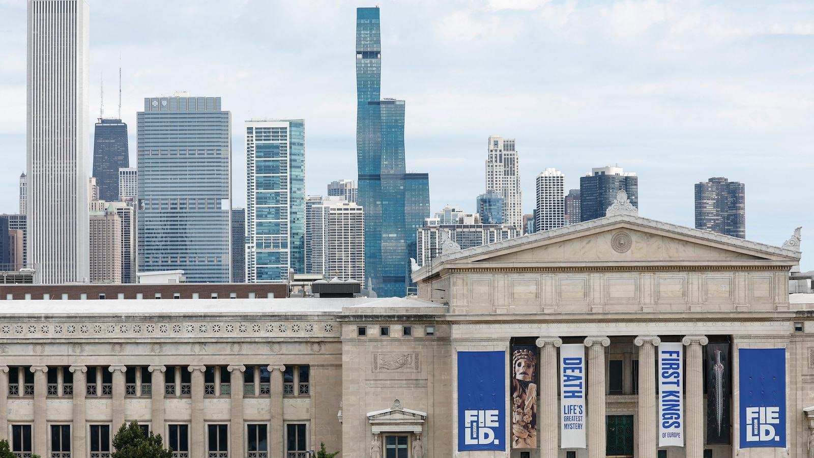 Wetenschappers zeggen dat ’s werelds oudste octopusfossiel toch geen octopus is