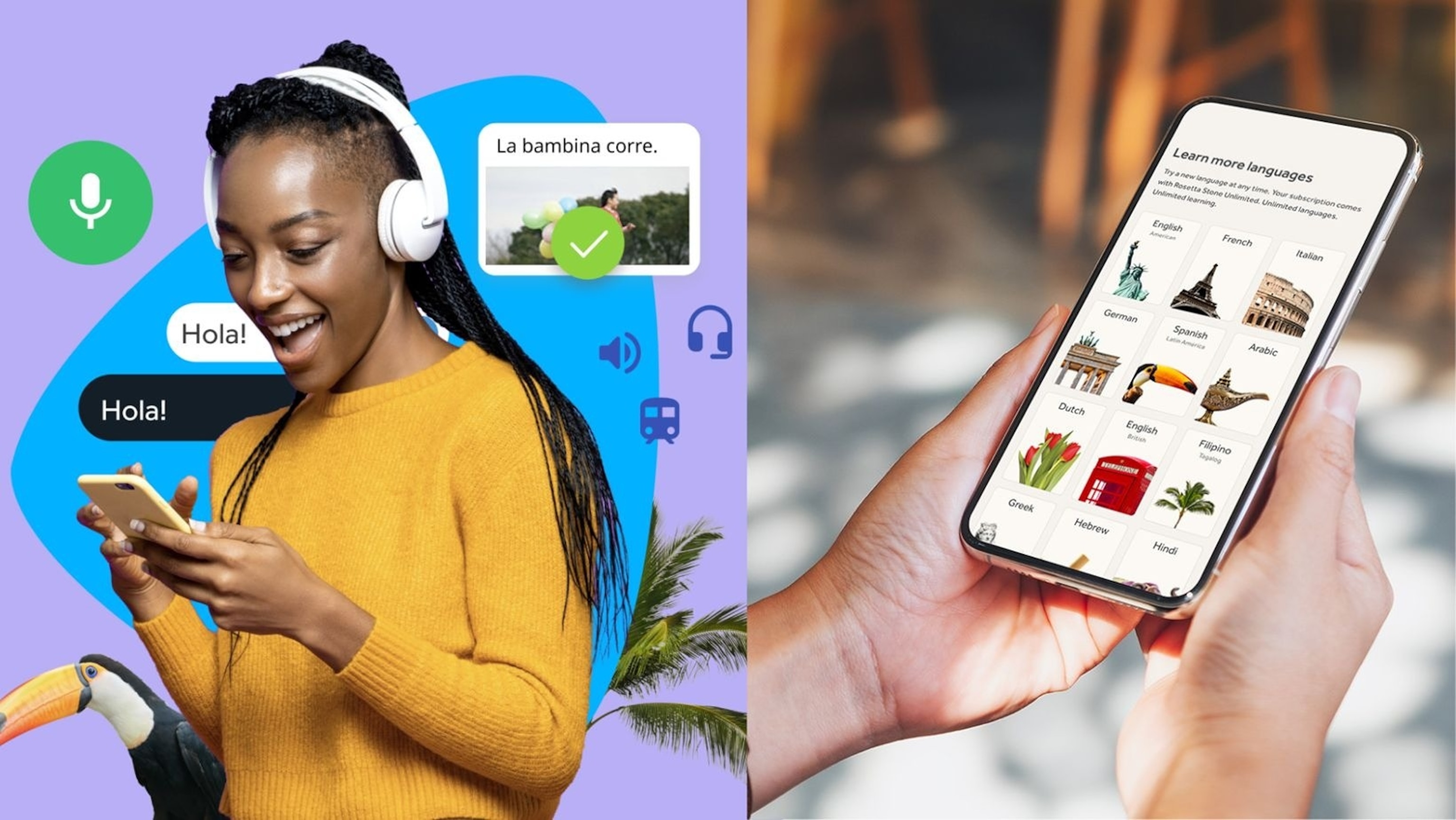 Rosetta Stone: Language Learning Program