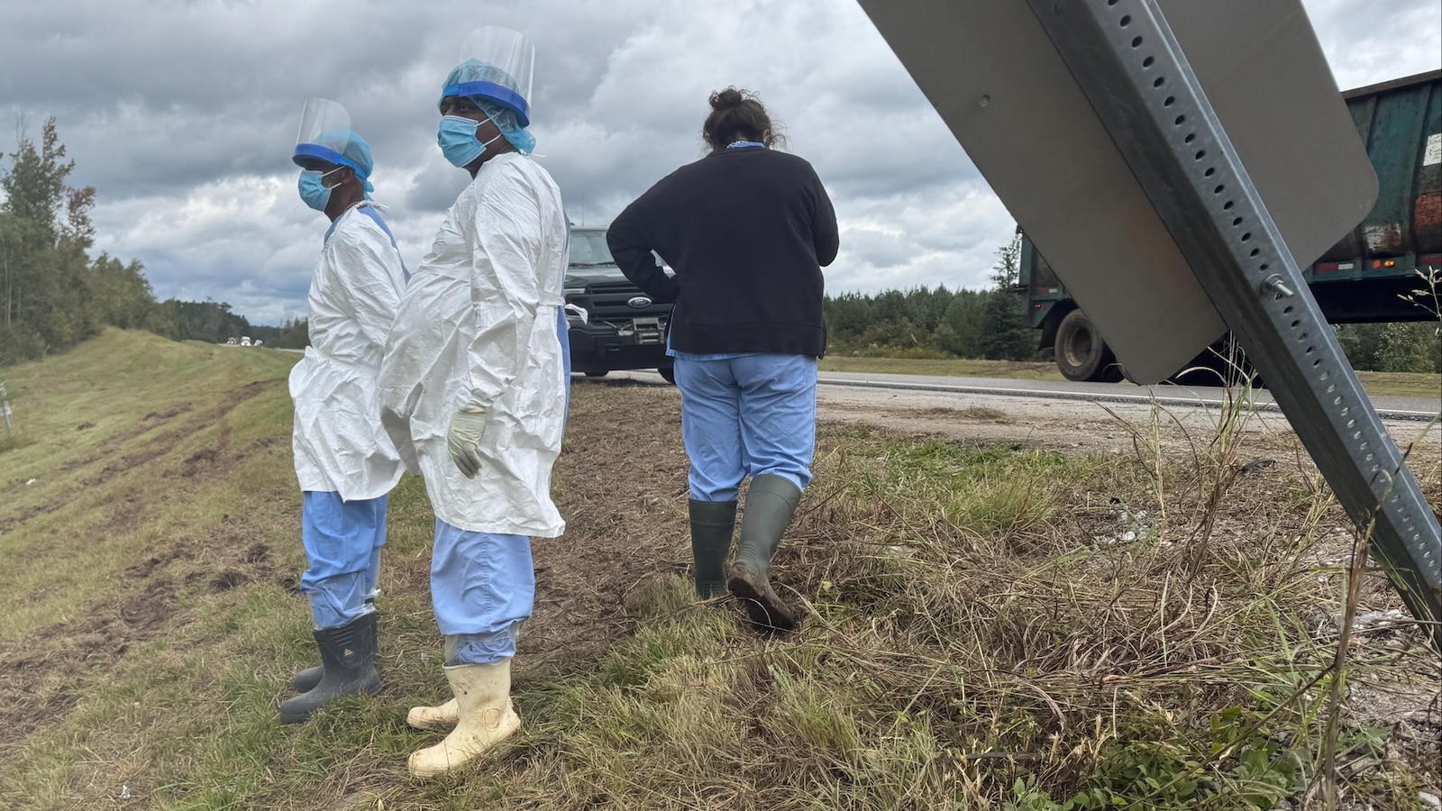 Search is on for 3 escaped monkeys after truck overturns on Mississippi highway