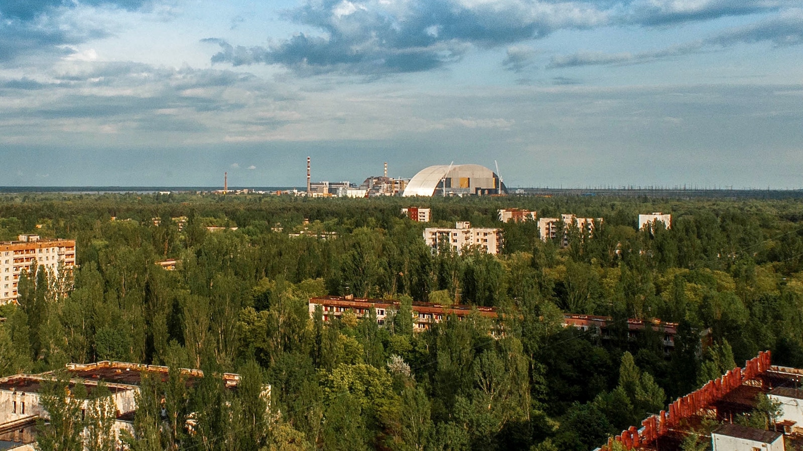 Large mammals are 'thriving' in the Chernobyl exclusion zone, scientists say