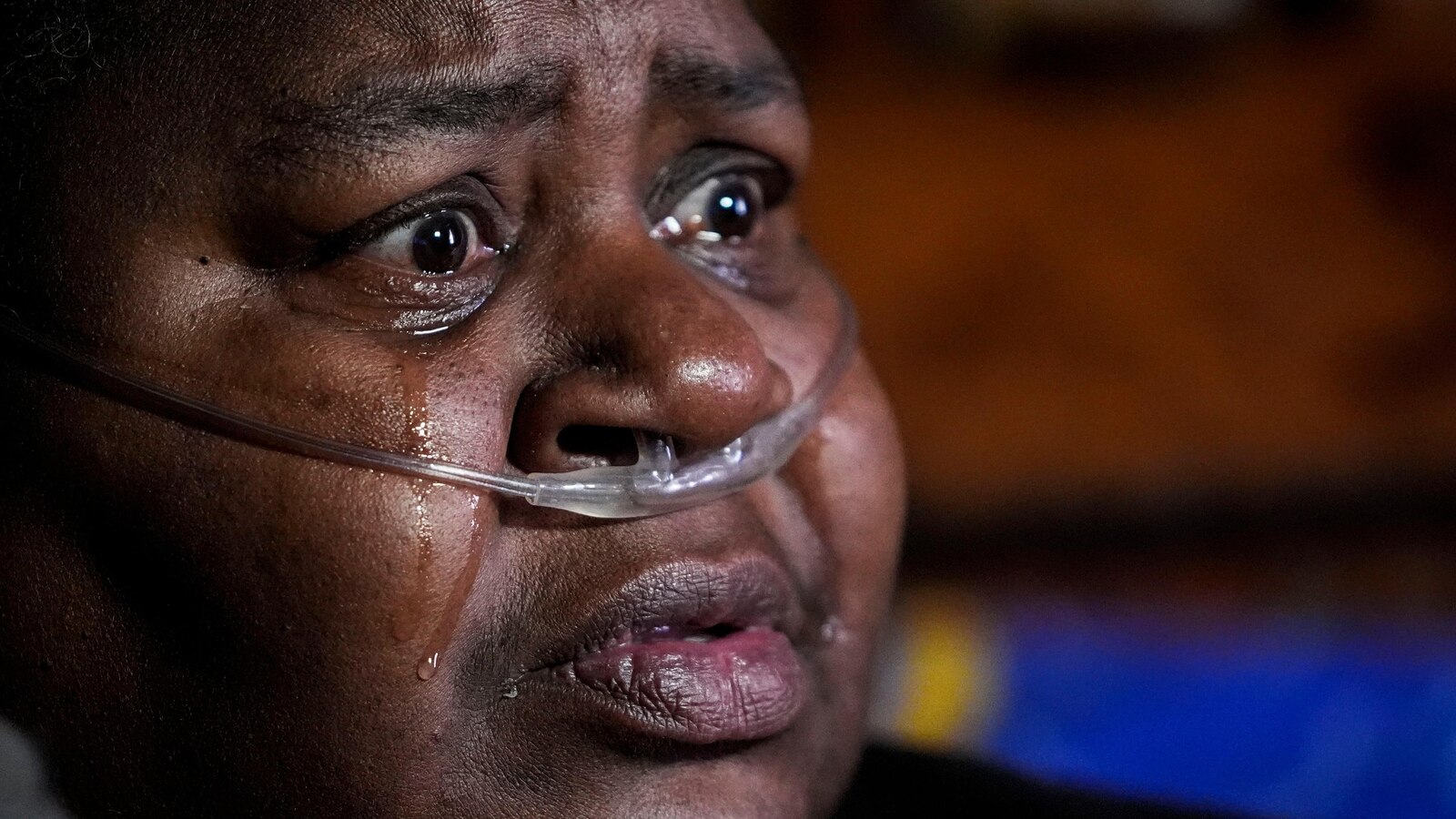  Wood pellets boomed in the US South. Climate activists want Biden to stop boosting industry growth