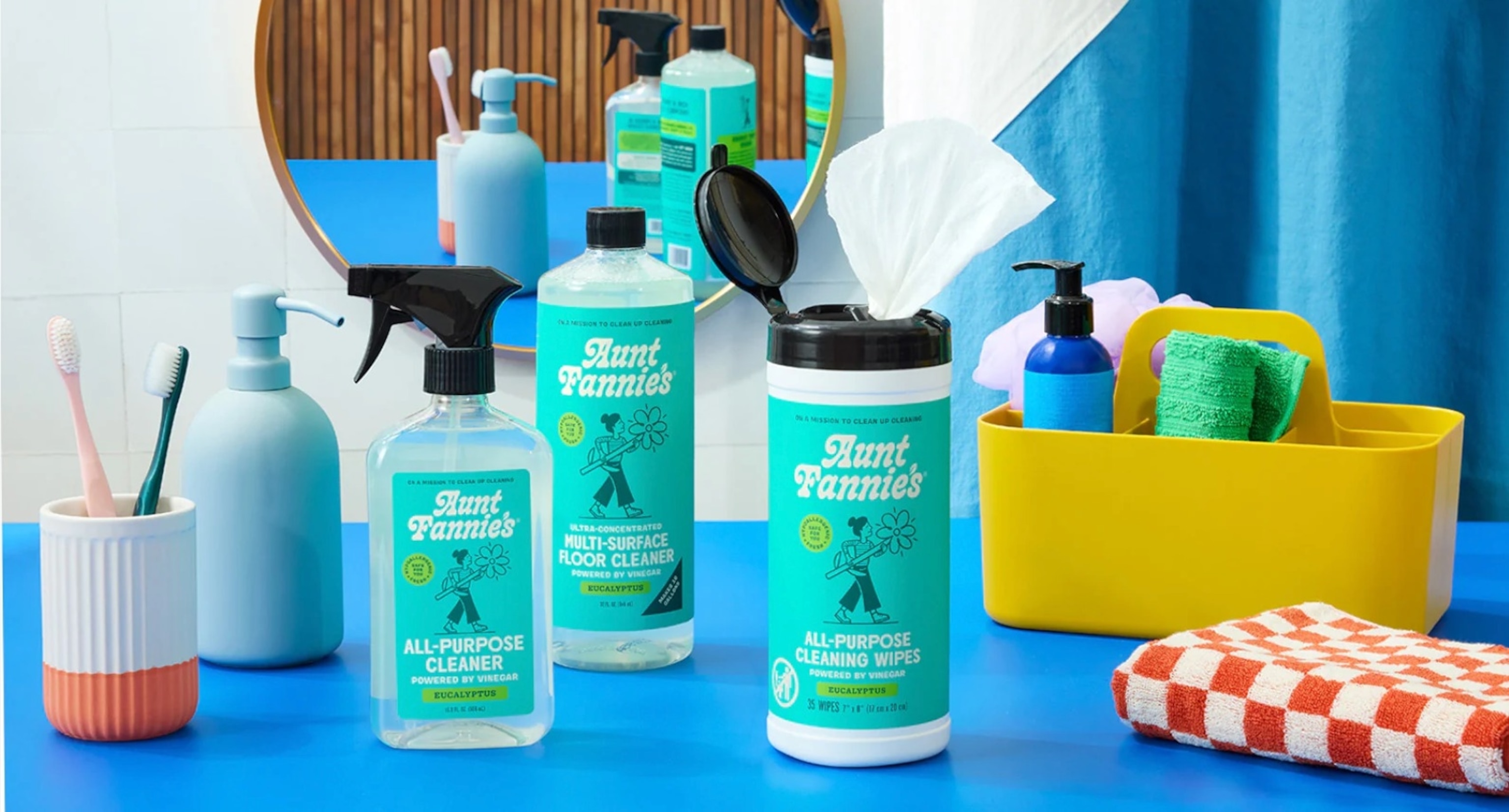 Aunt Fannie's: Cleaners