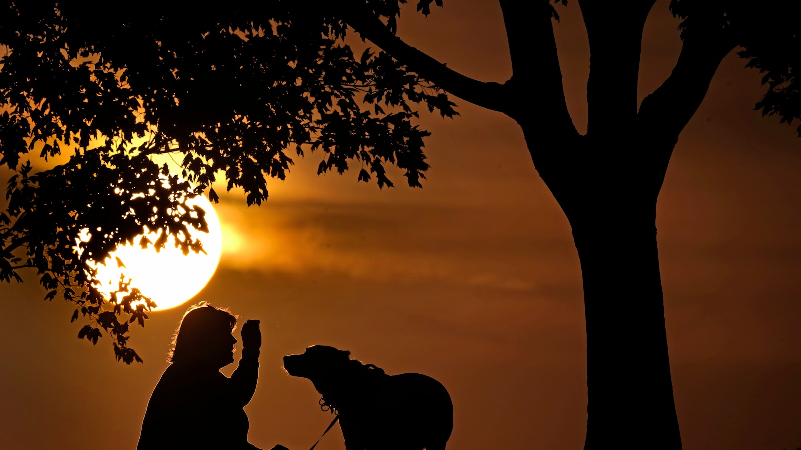How daylight saving time changes affect you and what you can do about it