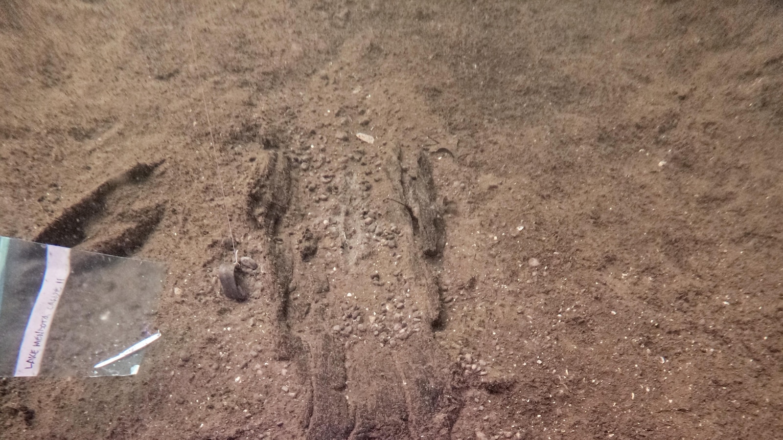 Wisconsin archaeologists identify 16 ancient canoes in a prehistoric lake 'parking lot'