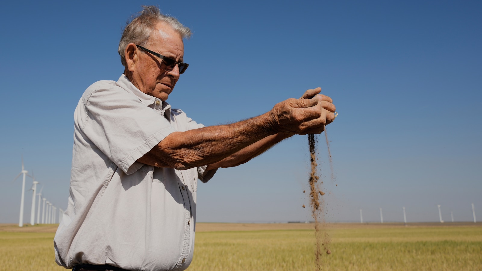  Kansas farmers pulled by weather extremes and growing costs, wheat crop could be worst since 1972