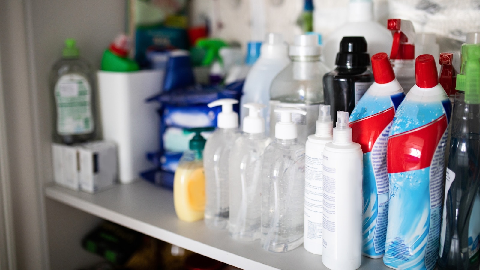 Toilet paper and cleaning products.