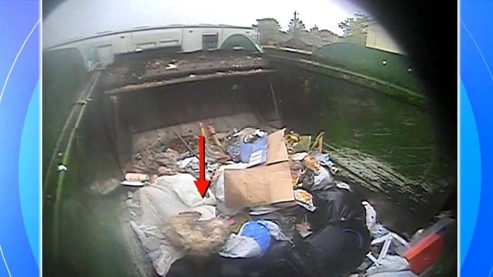 WATCH: Dog rescued from garbage truck finds forever home with driverer