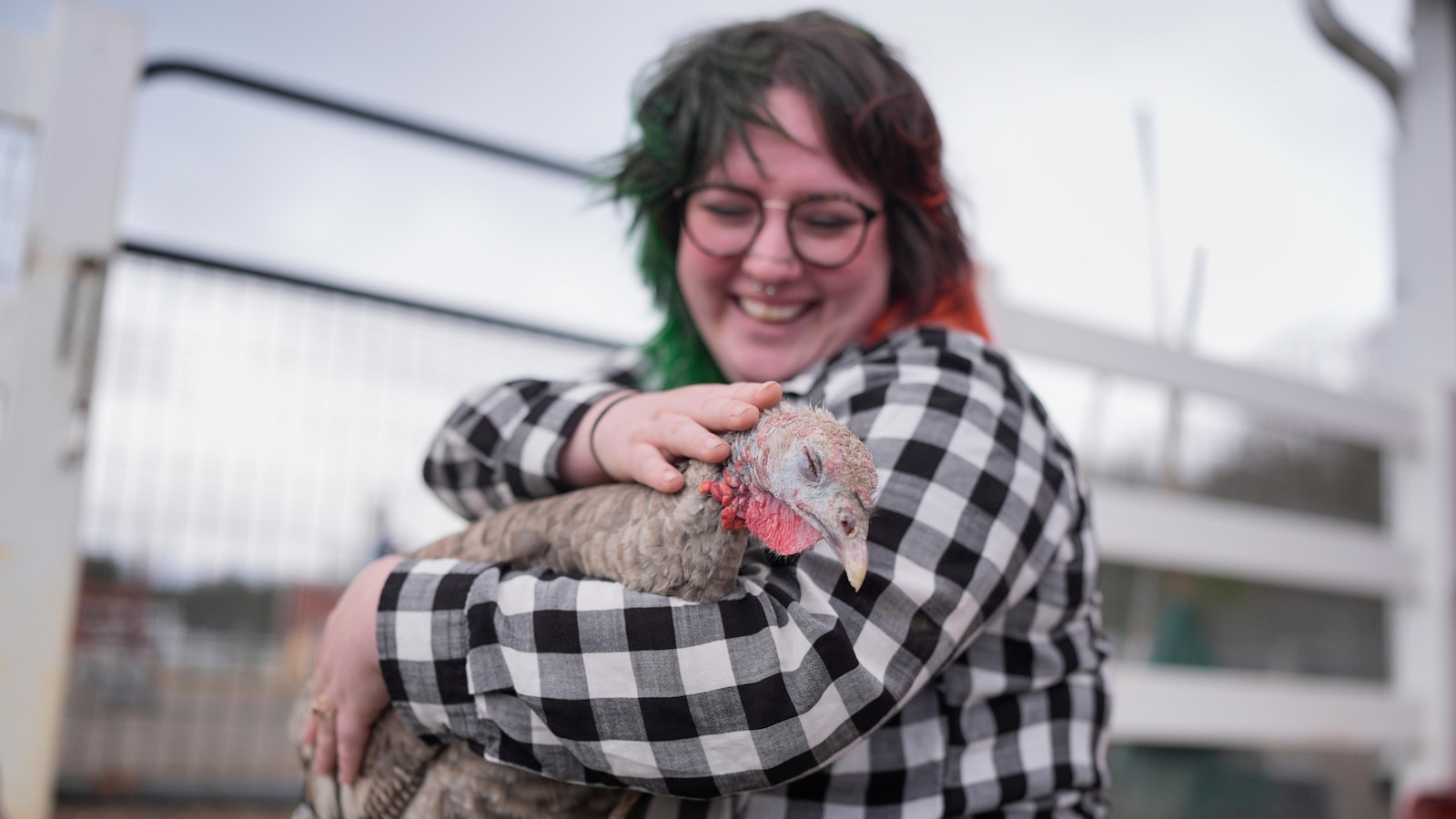 At The Gentle Barn, turkeys are for snuggling, not stuffing at Thanksgiving