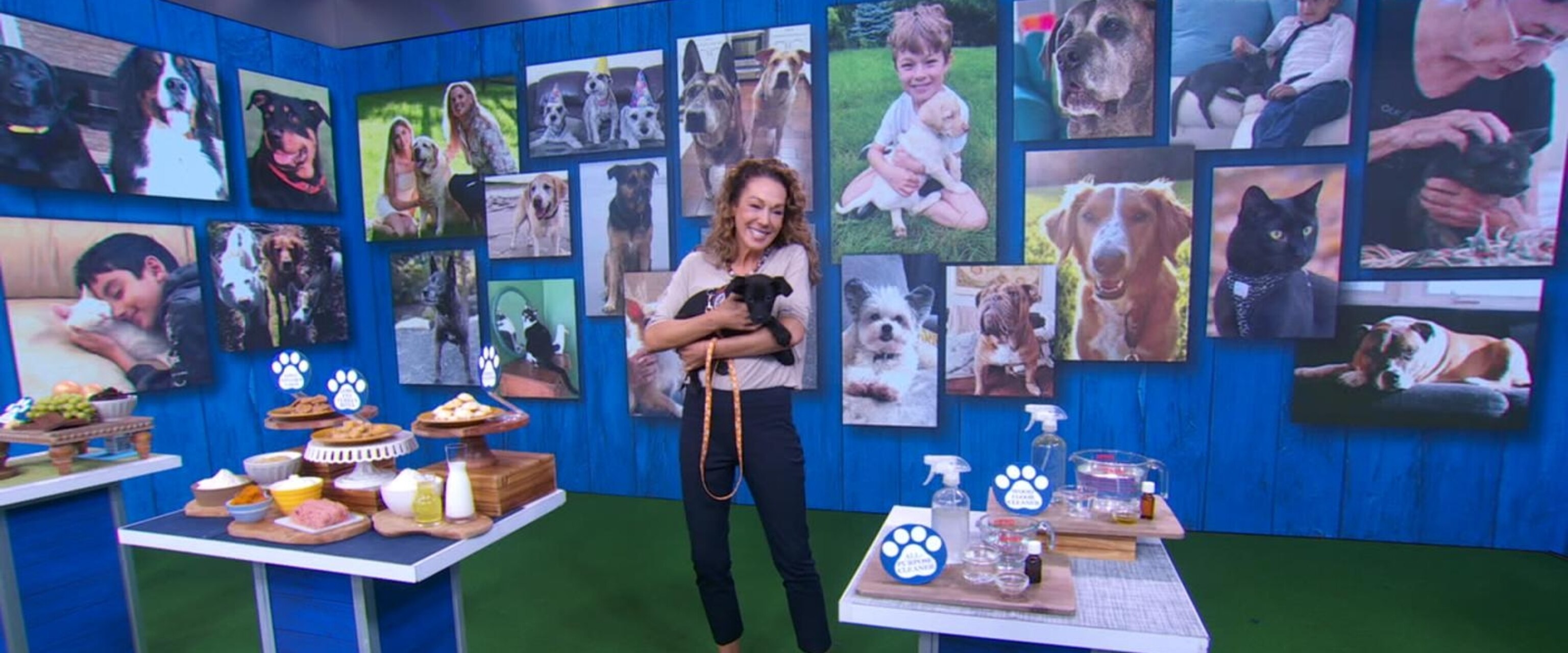 Video Dr. Karen Becker talks diet and environment for dogs - ABC News