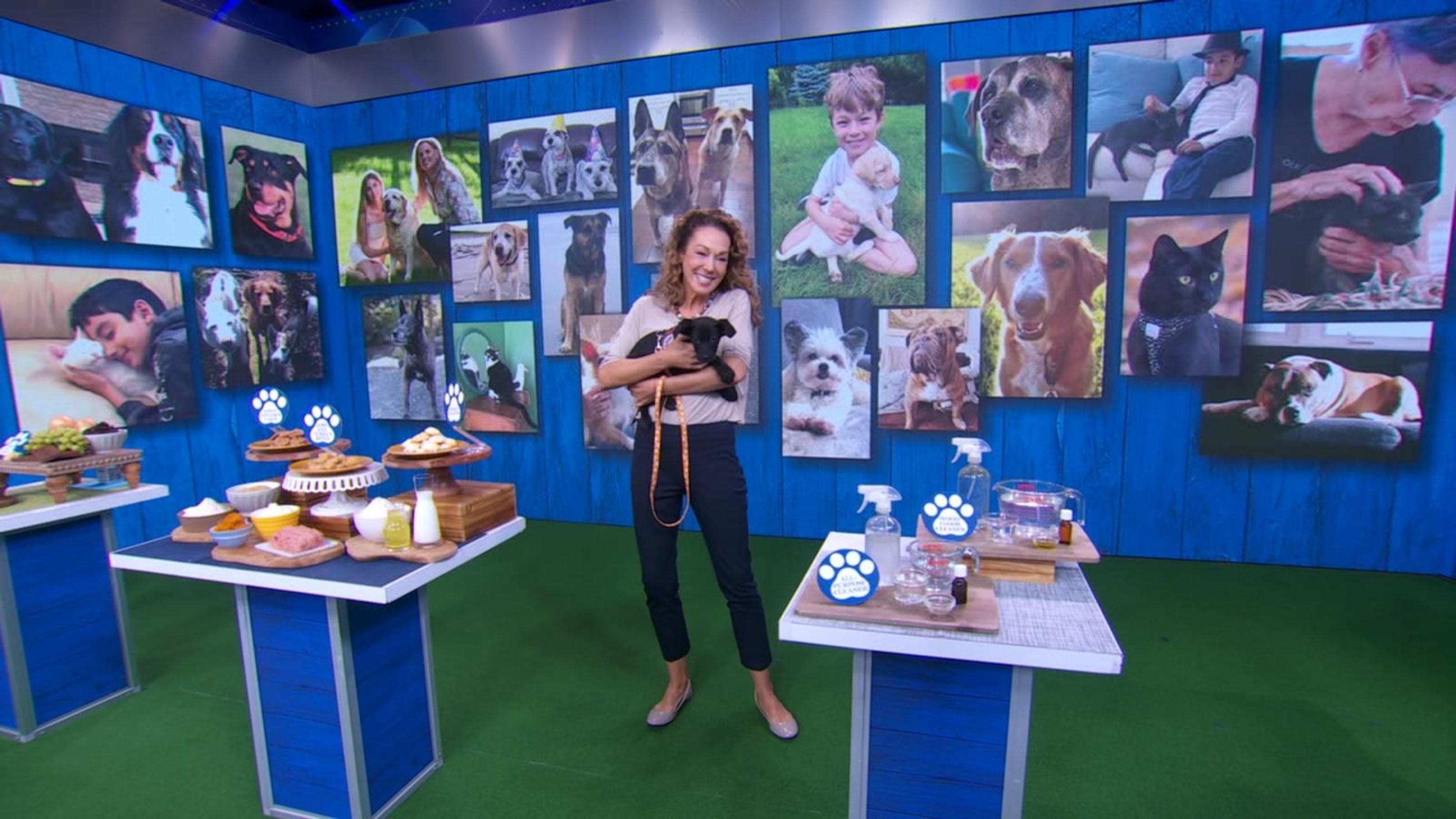 Video Dr. Karen Becker talks diet and environment for dogs - ABC News