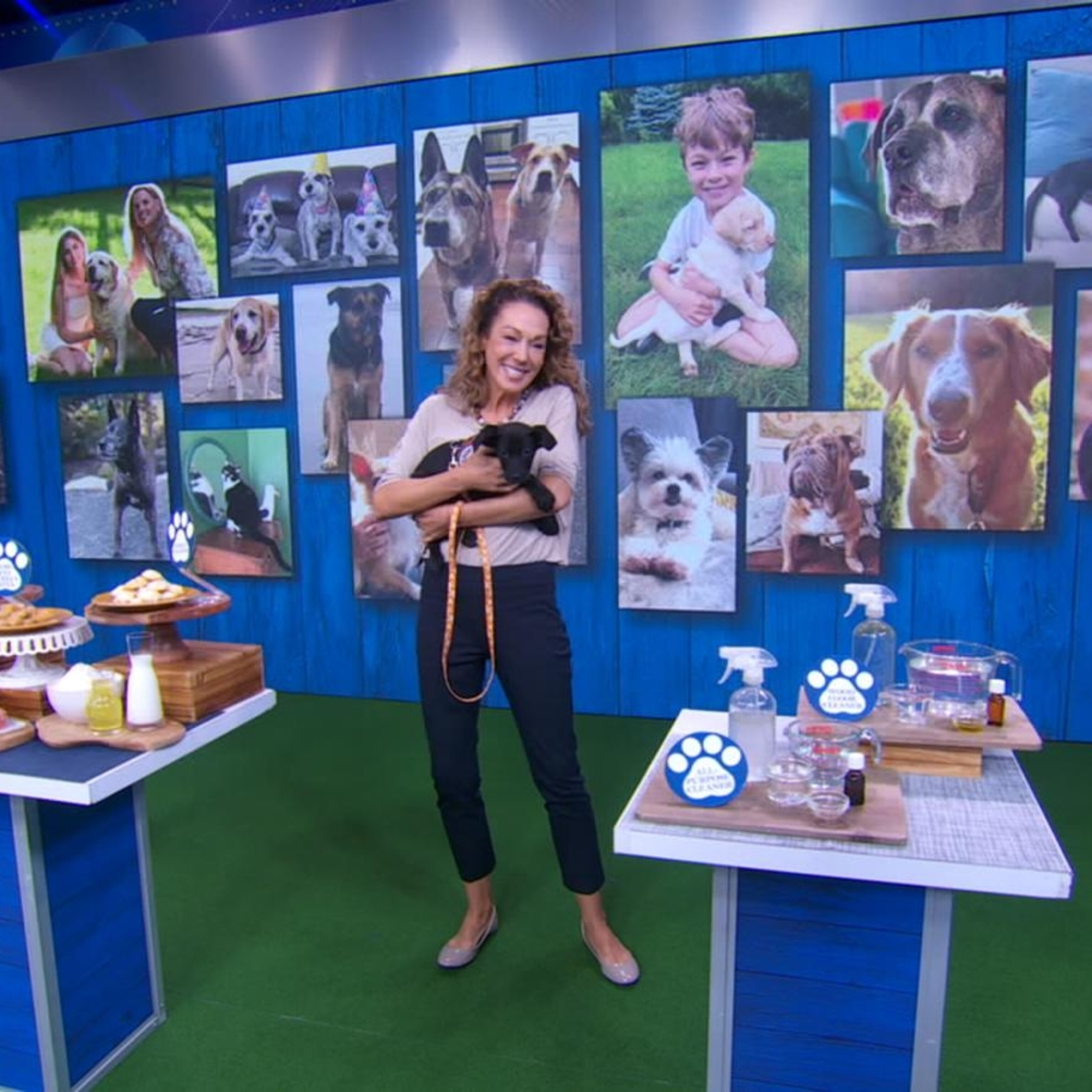 Video Dr. Karen Becker talks diet and environment for dogs - ABC News