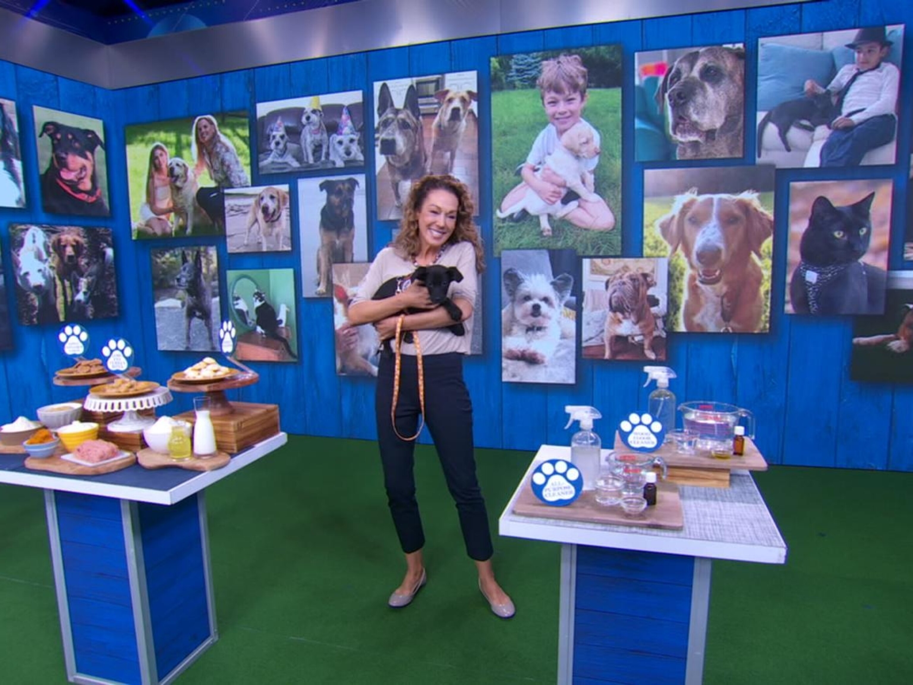 Video Dr. Karen Becker talks diet and environment for dogs - ABC News