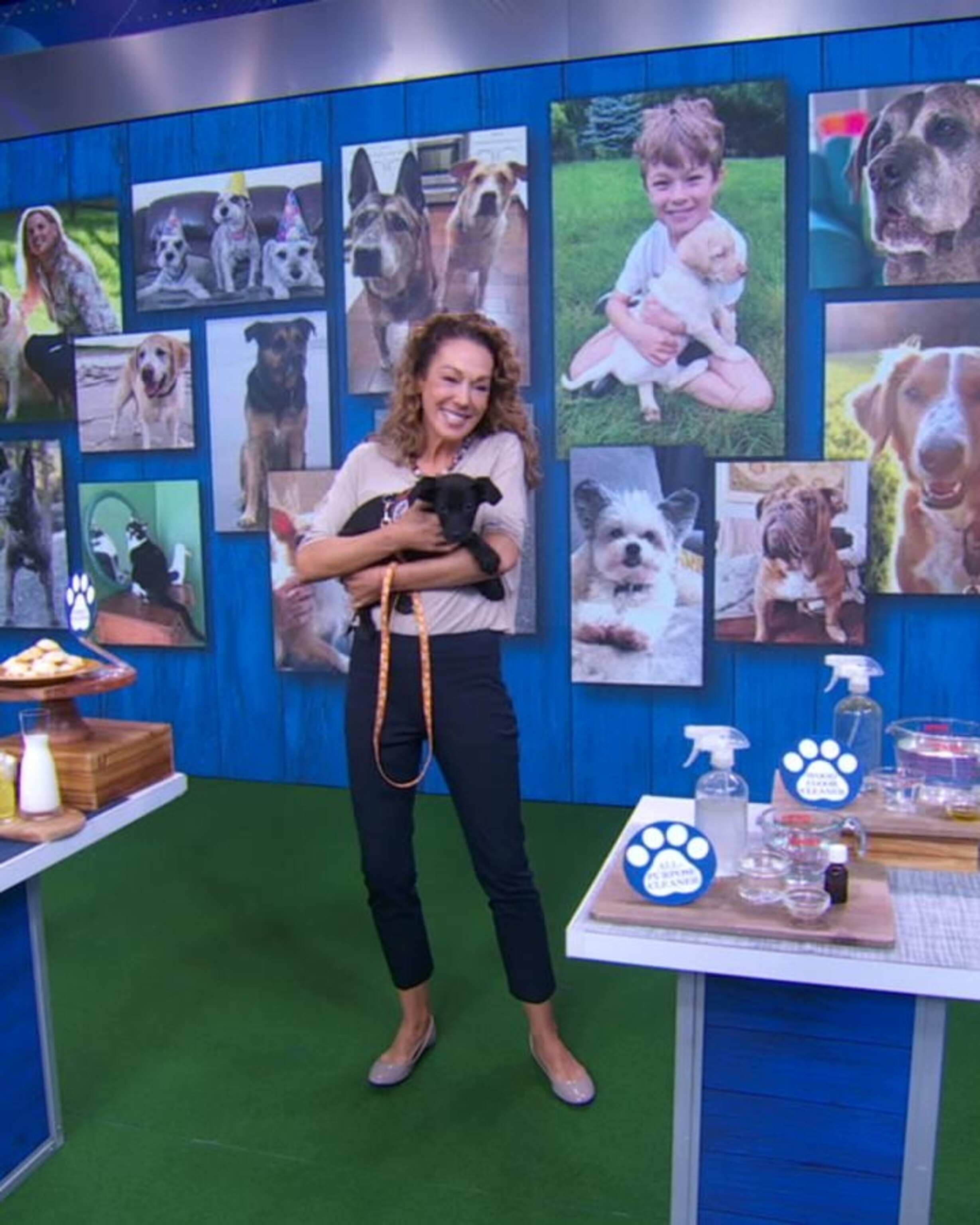 Video Dr. Karen Becker talks diet and environment for dogs - ABC News