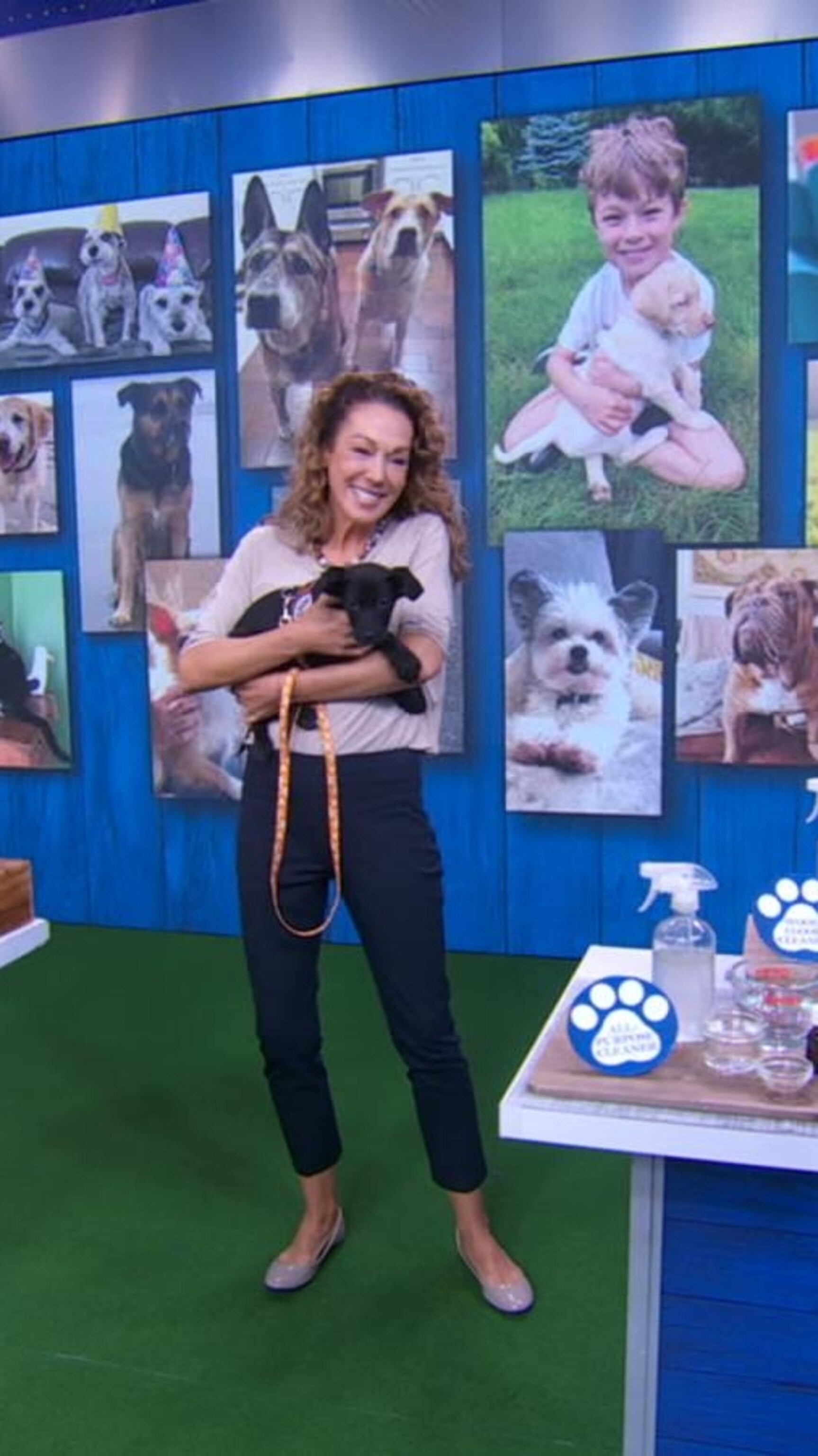 Video Dr. Karen Becker talks diet and environment for dogs - ABC News