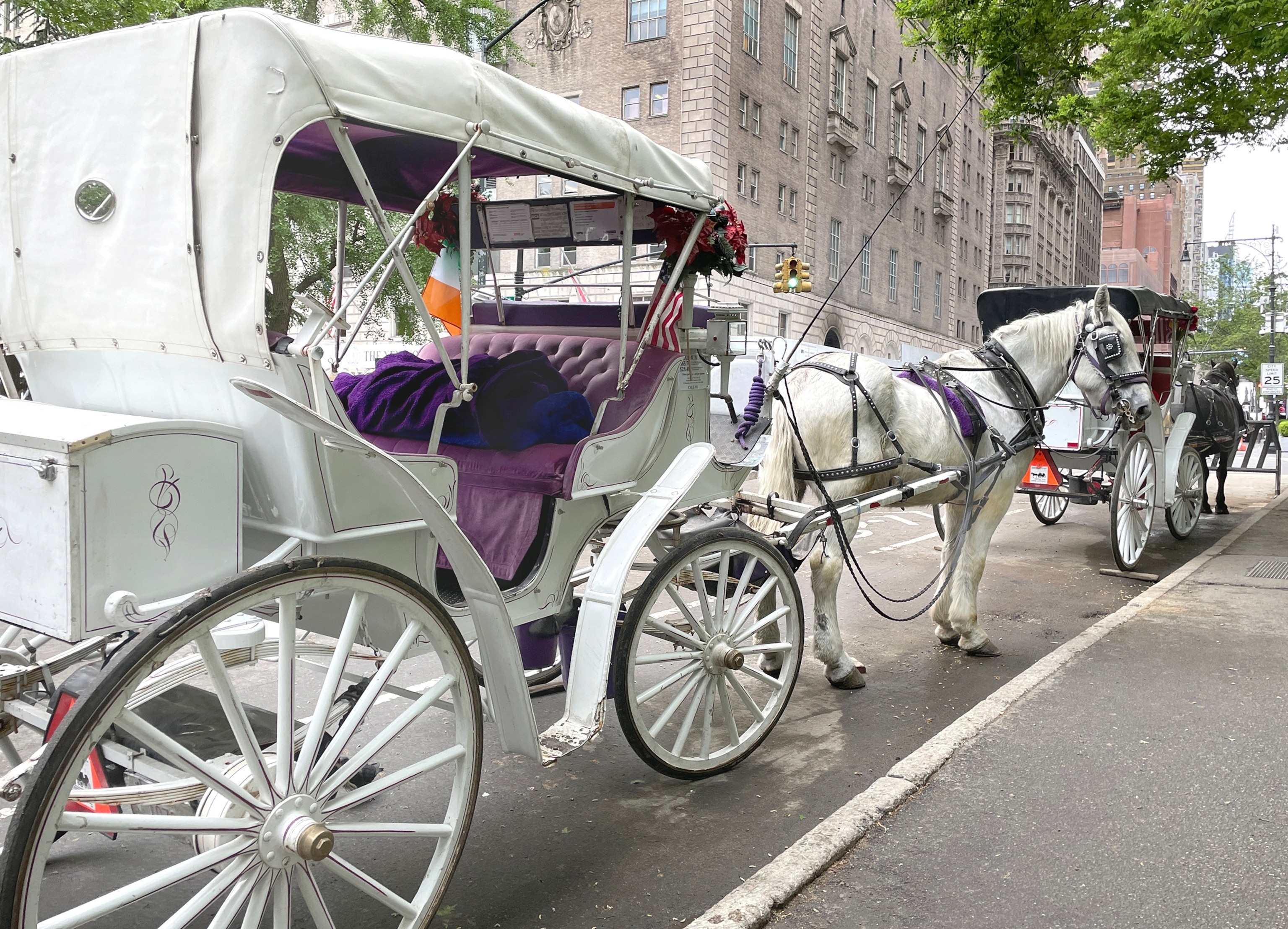 PHOTO: Carriage horses line one of the entrances to Central Park in New York, May 10, 2024.