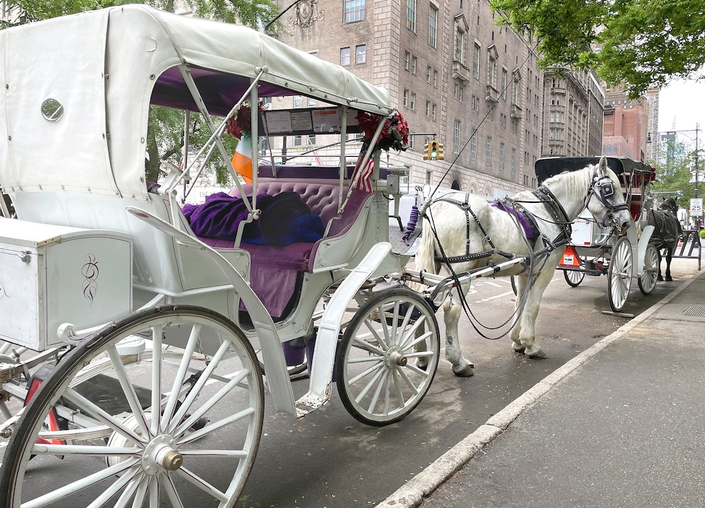 PHOTO: Carriage horses line one of the entrances to Central Park in New York, May 10, 2024.