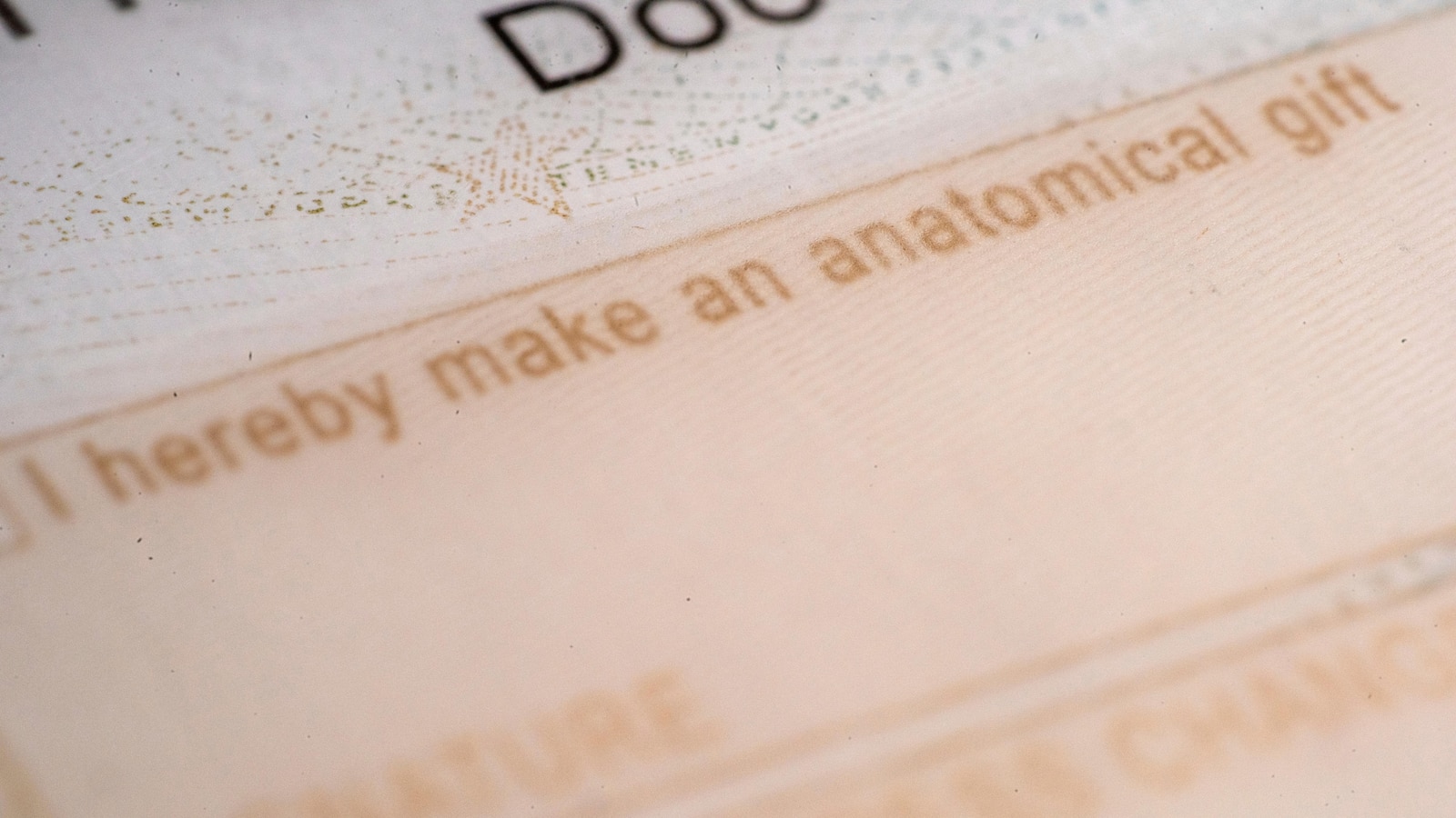 Public mistrust linked to drop in deceased donor organ donations and kidney transplants