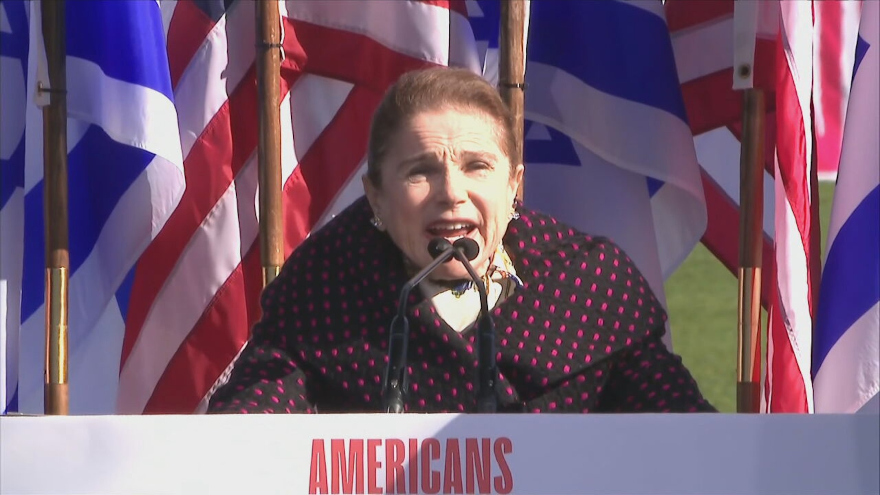 PHOTO: In this screengrab from a video, Tovah Feldschuh speaks at the March For Israel in Washington, D.C., on Nov. 14, 2023.