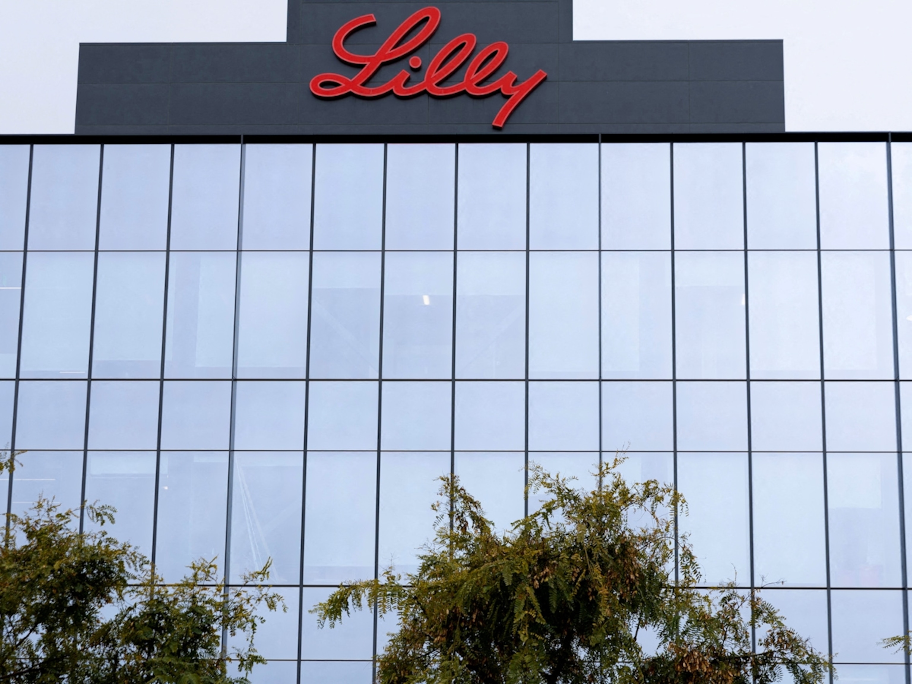 🌍STOCK REPORT:  **Eli Lilly: Un'Ambiziosa Scommessa nel Mercato dei Titoli di Debito con Obbligazioni a Lungo Termine**