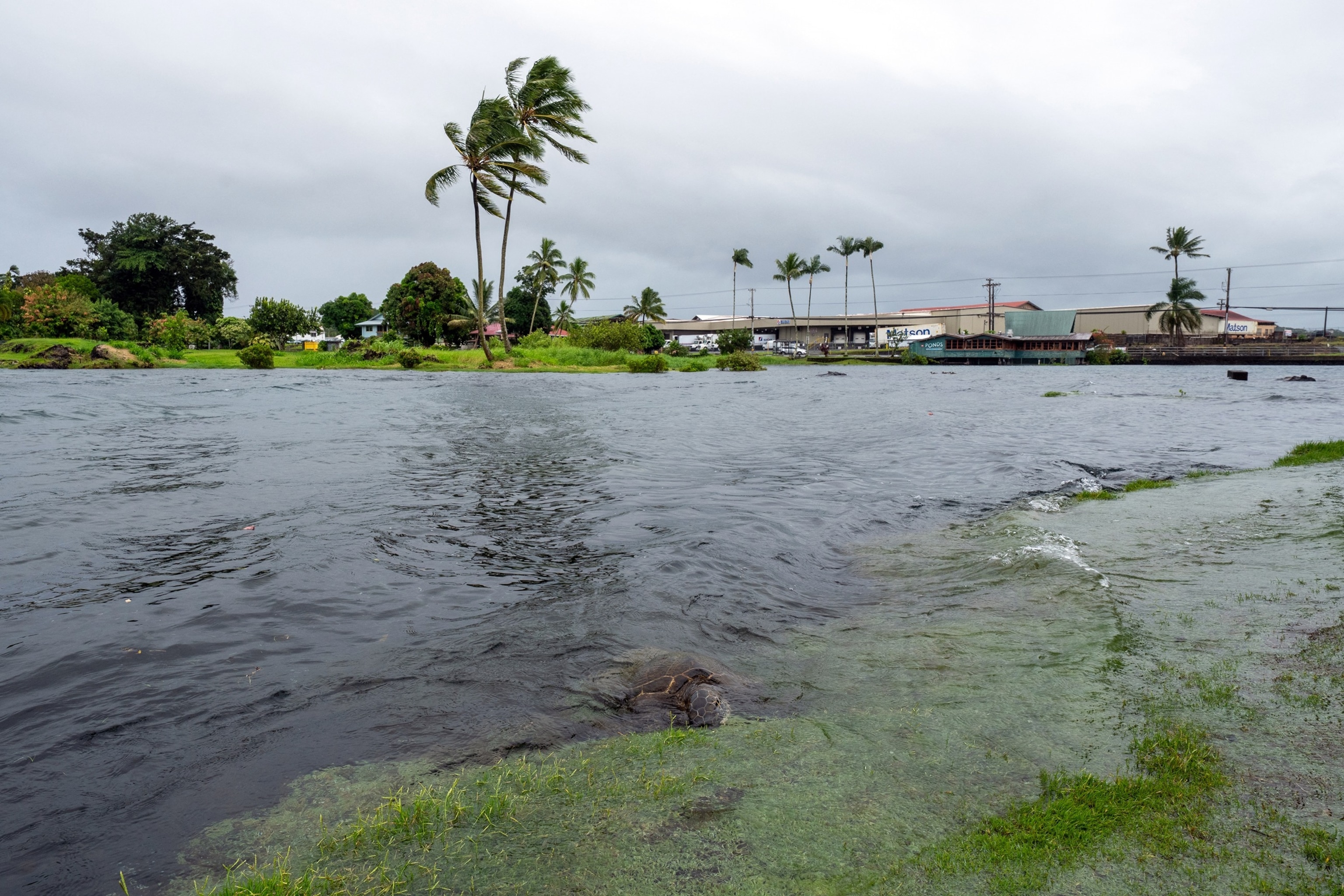 Hawaii braces as Lala strengthens to a hurricane