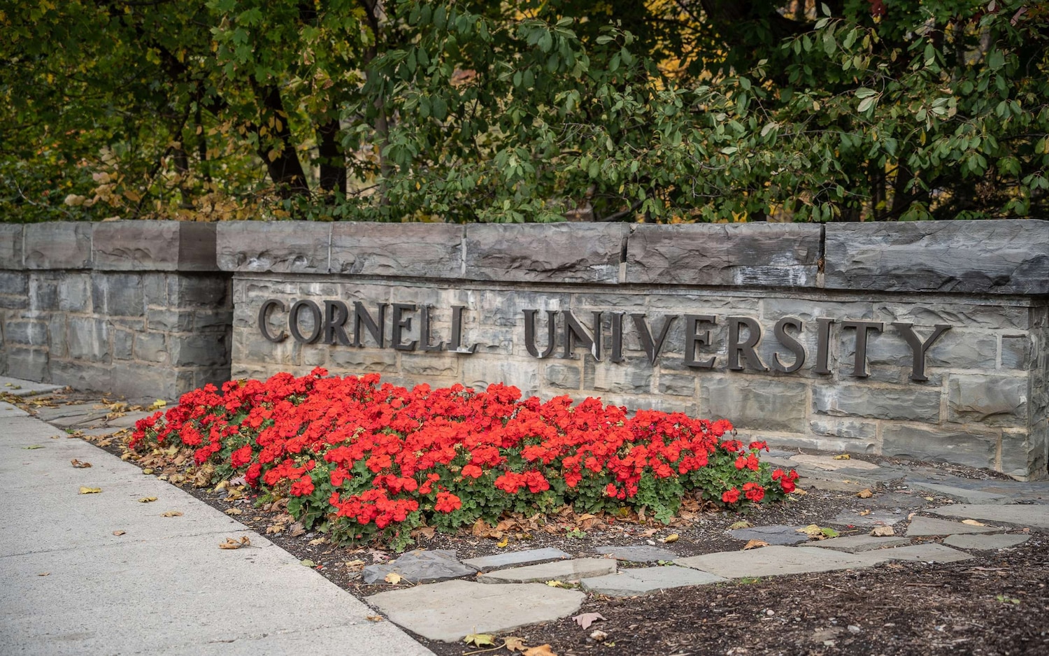 Faculty debate heated but mostly supportive